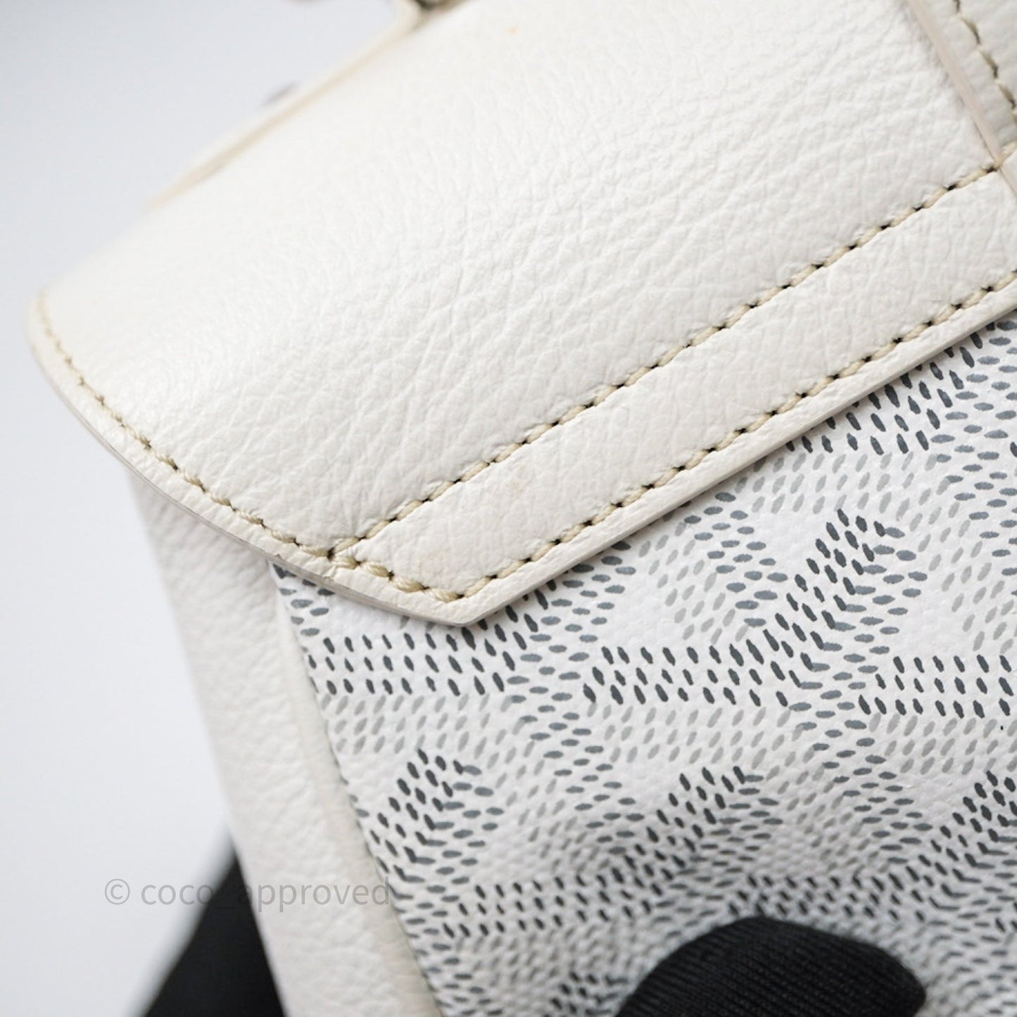 Goyard Saïgon Mini Bag Chevroches Calfskin White Silver Hardware
