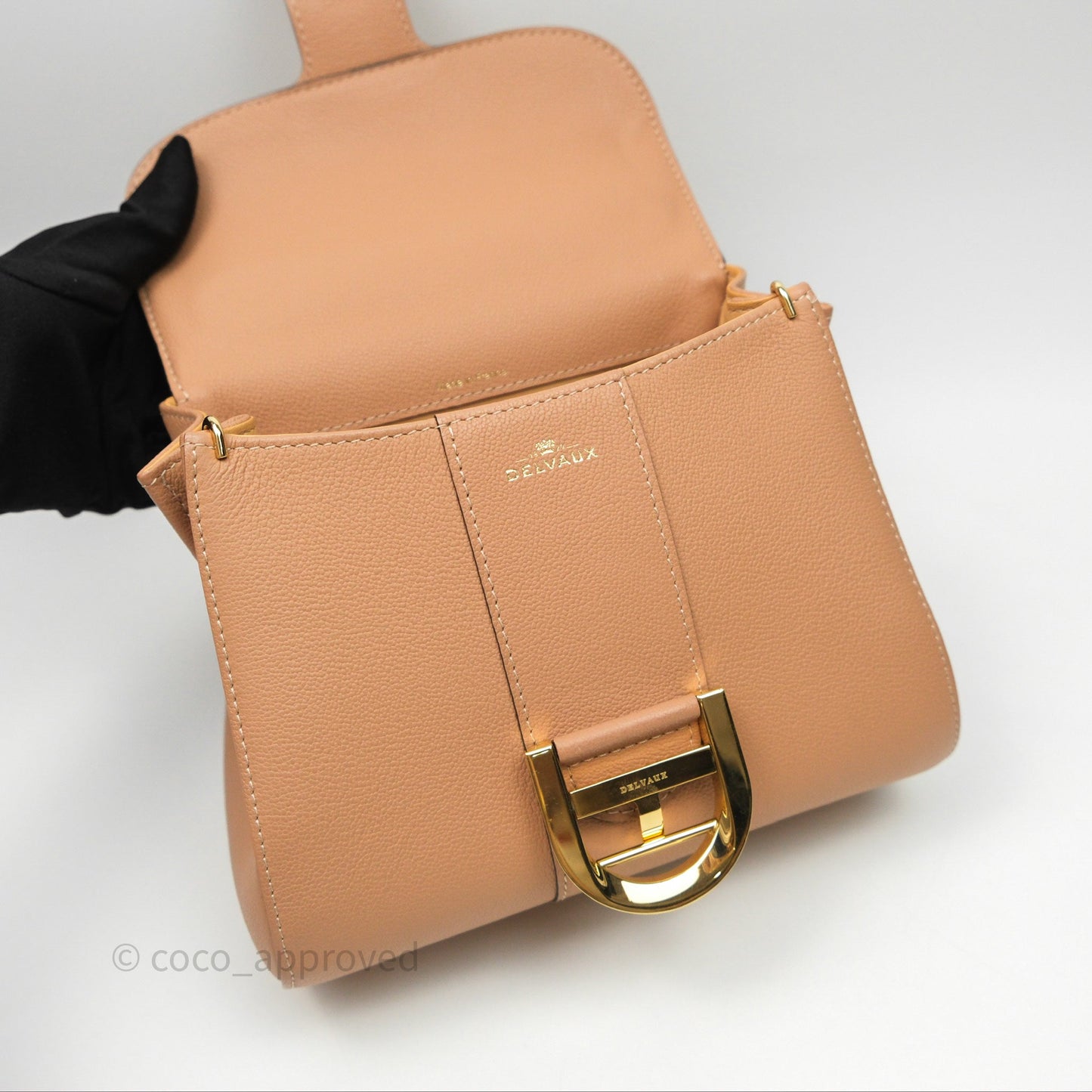 Delvaux Mini Brillant Bag Vison Grained Calfskin Gold Hardware with Twilly
