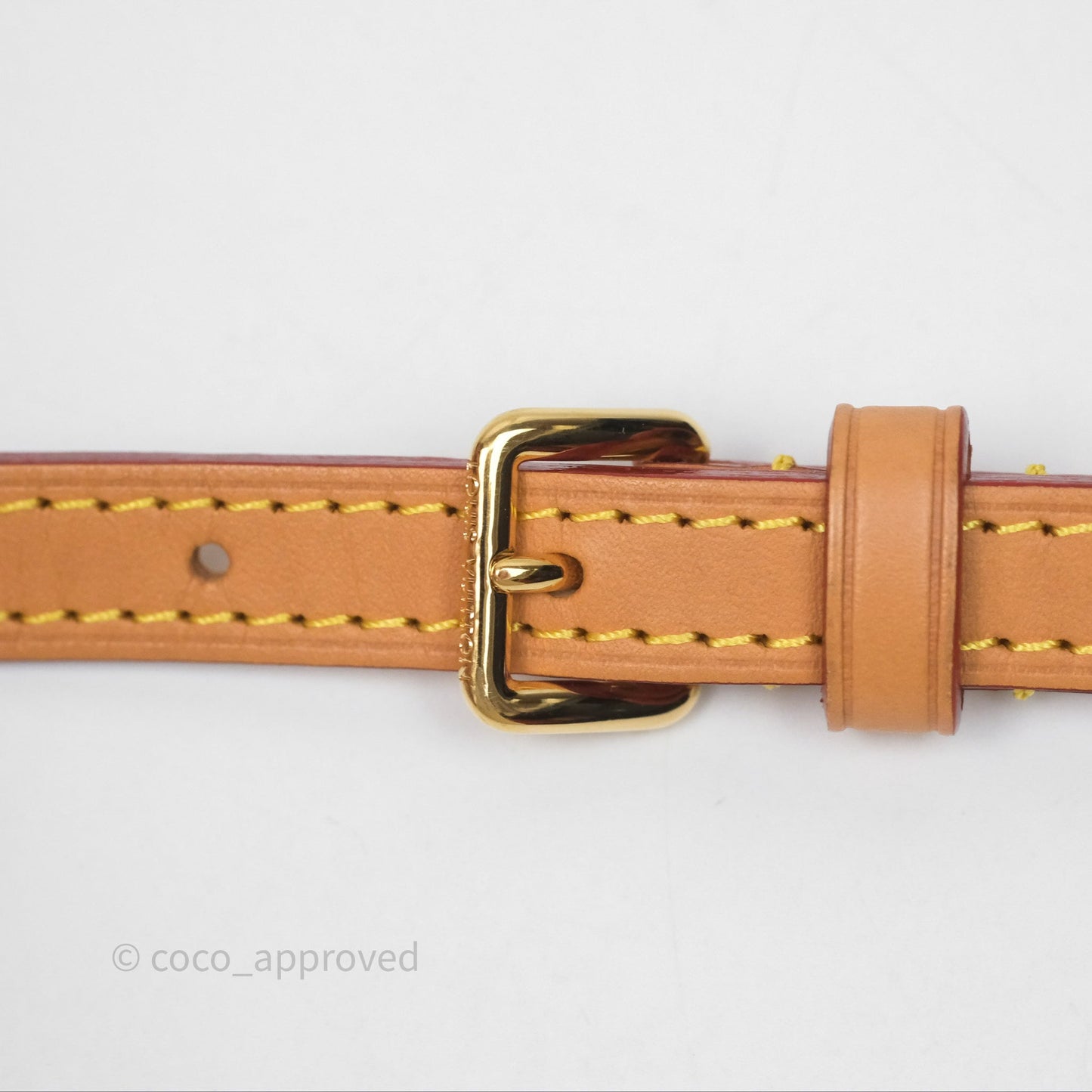 Louis Vuitton Nano Noe Monogram