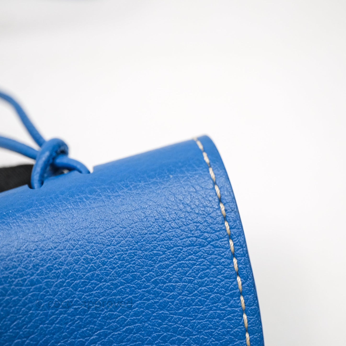 Goyard Bohème Hobo Bag Bleu Ciel Goyardine Canvas
