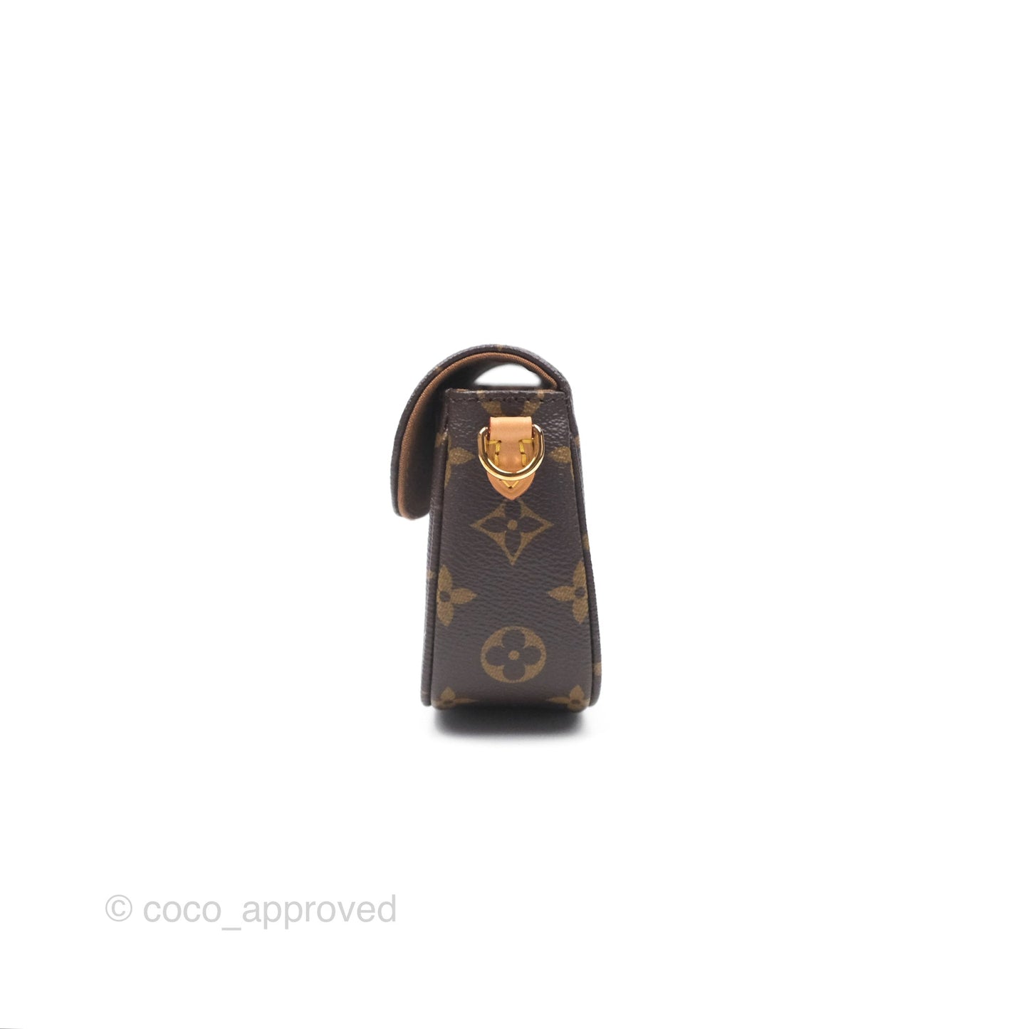 Louis Vuitton Ivy Wallet on Chain Monogram Canvas
