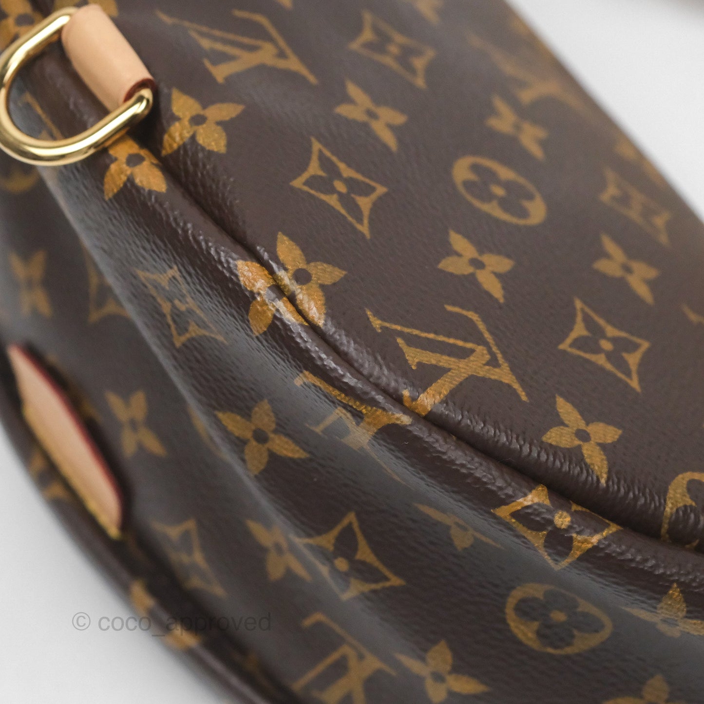 Louis Vuitton Bum Bag Monogram Canvas