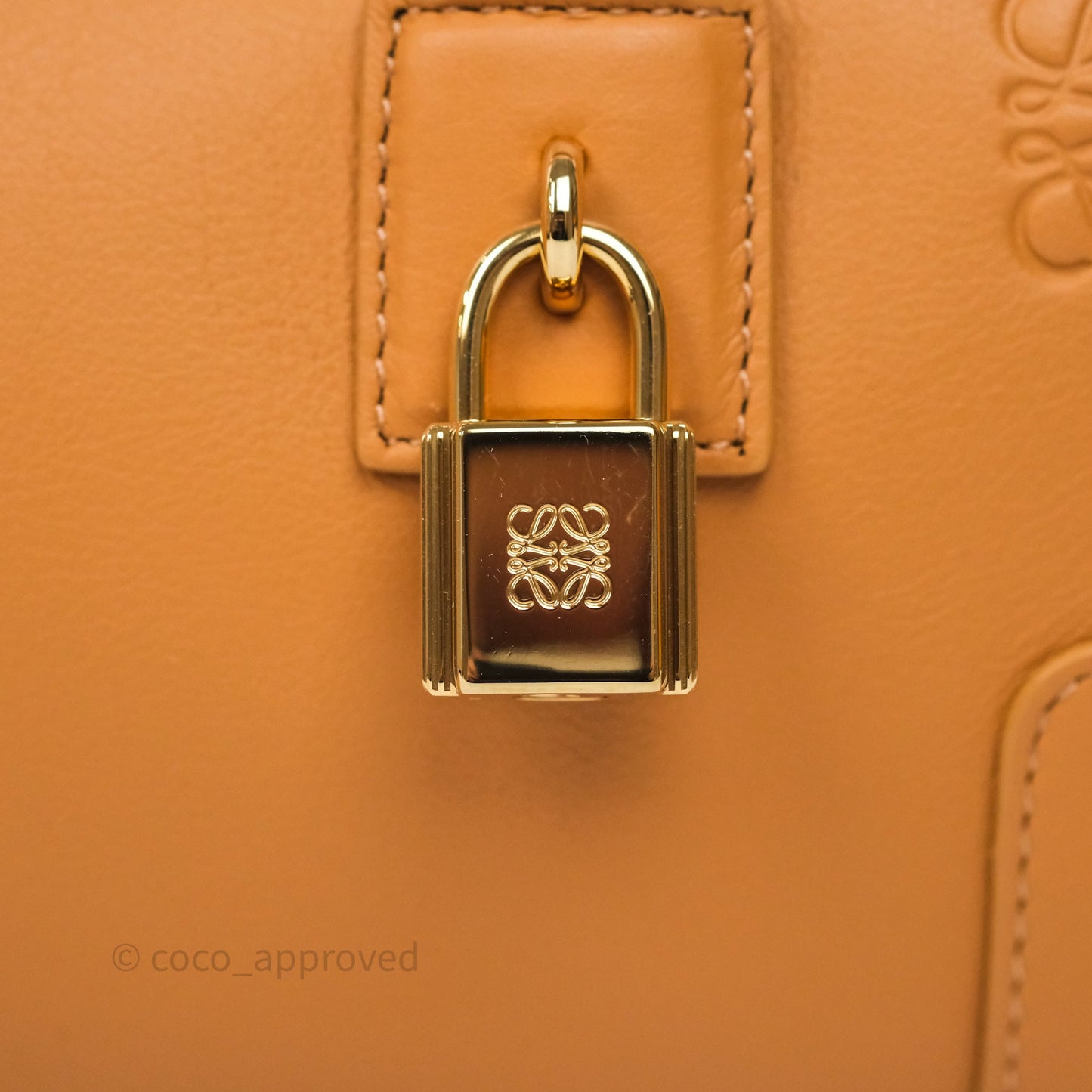 Loewe Amazona 23 Cropped Bag Warm Desert Nappa Calfskin