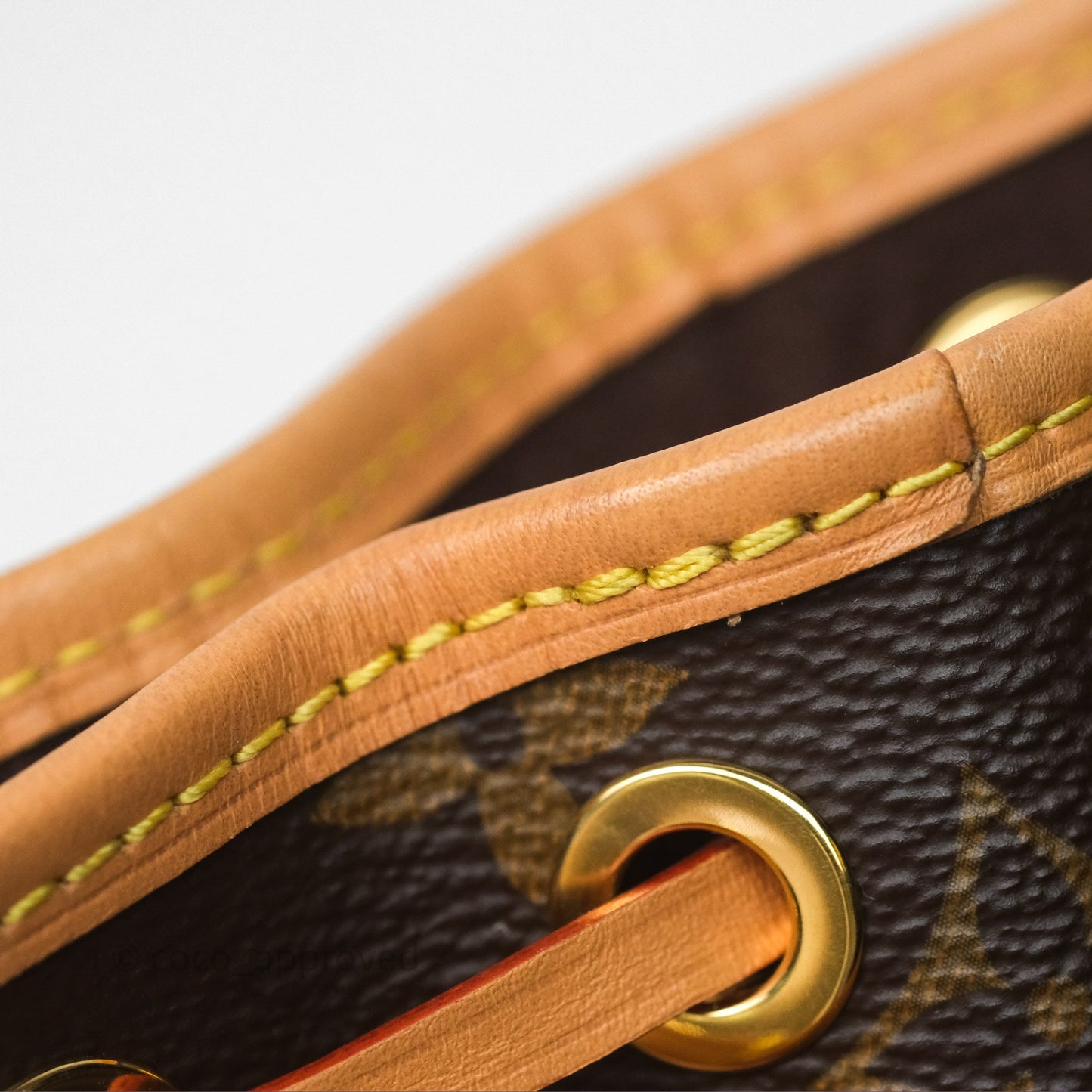 Louis Vuitton Nano Noe Monogram