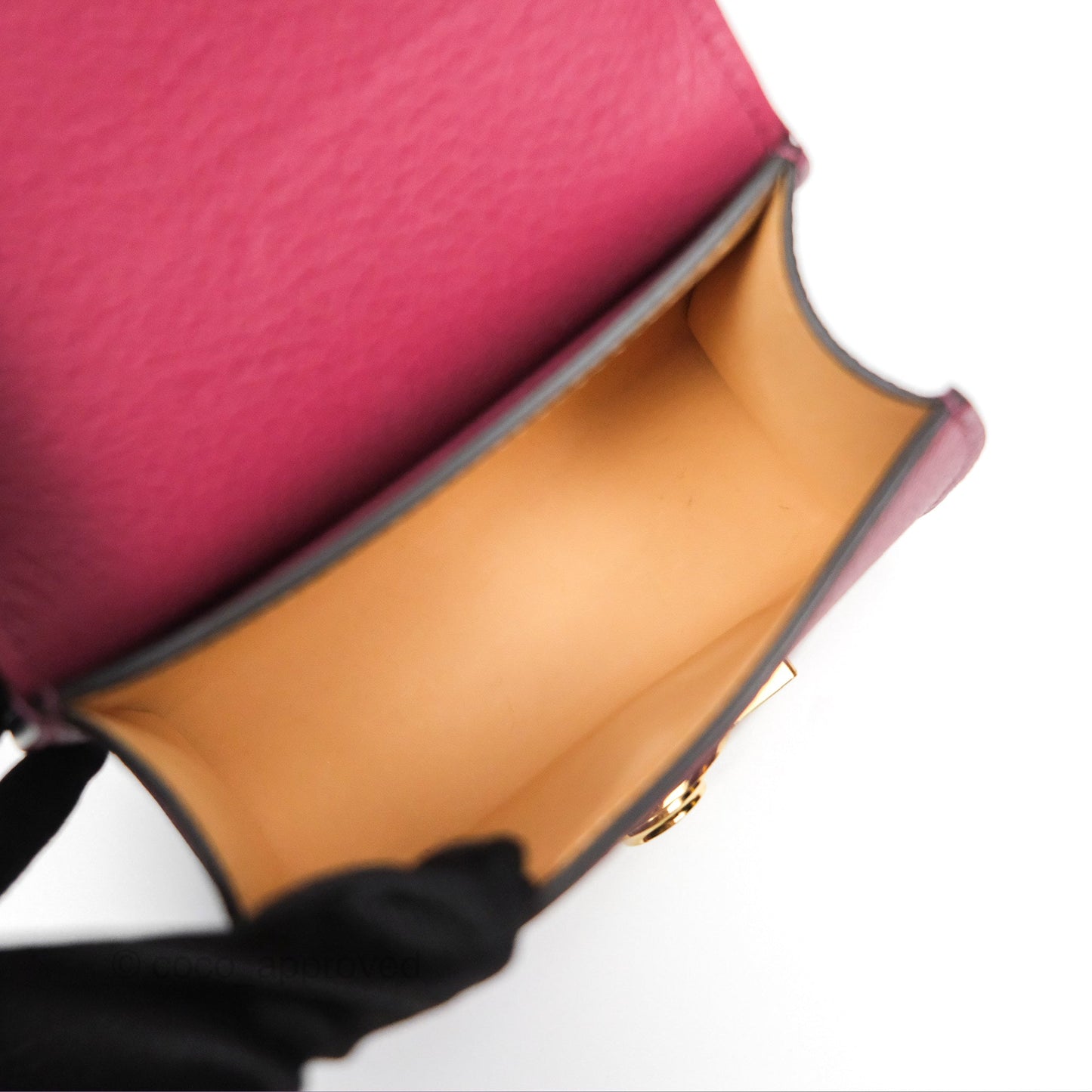 Moynat Réjane Nano Litchi Taurillon Blush Leather
