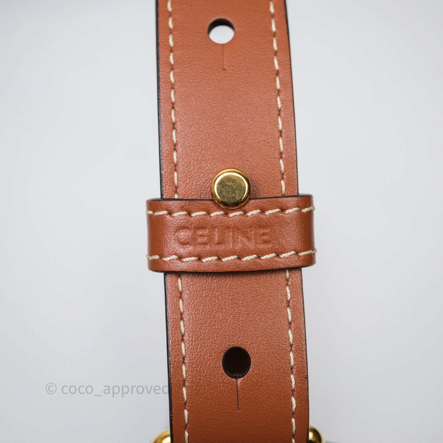 Celine Ava Bag In Triomphe Canvas Calfskin Tan