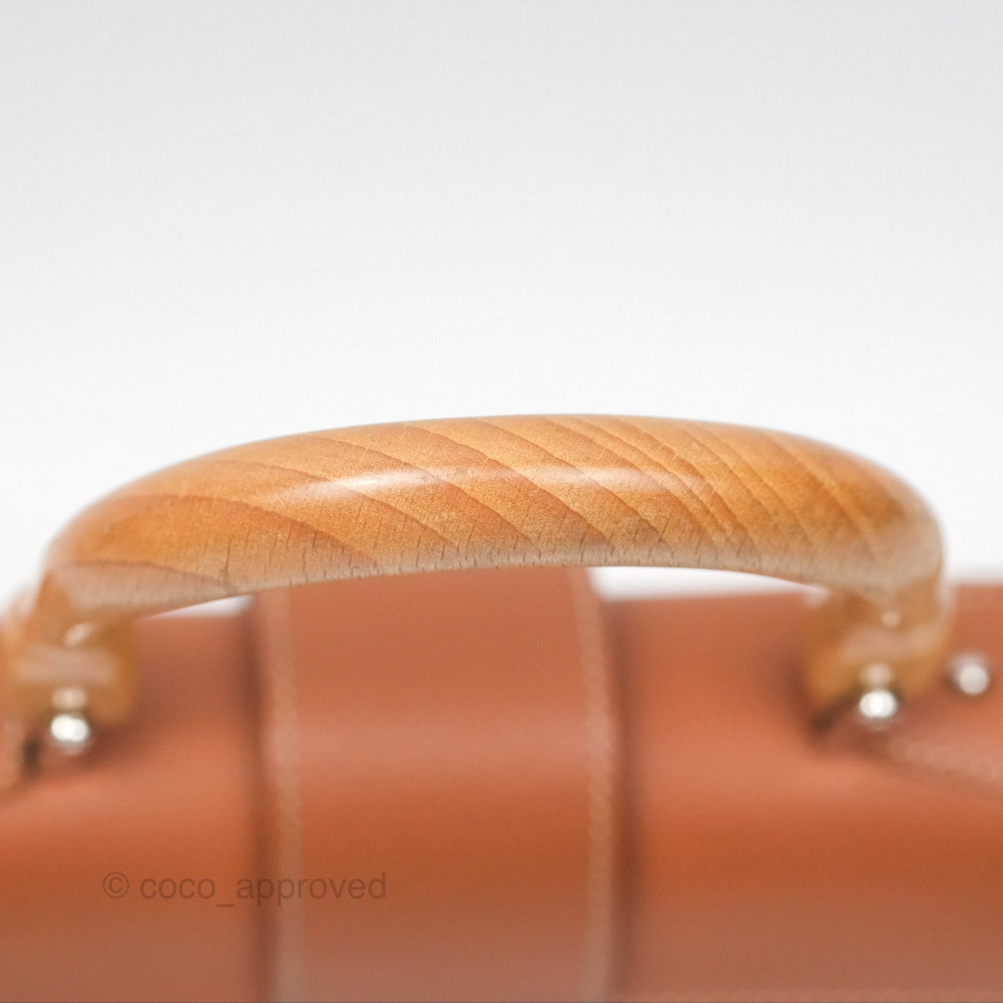 Goyard Saïgon Mini Bag Tan Goyardine Canvas/Chevroches Calfskin