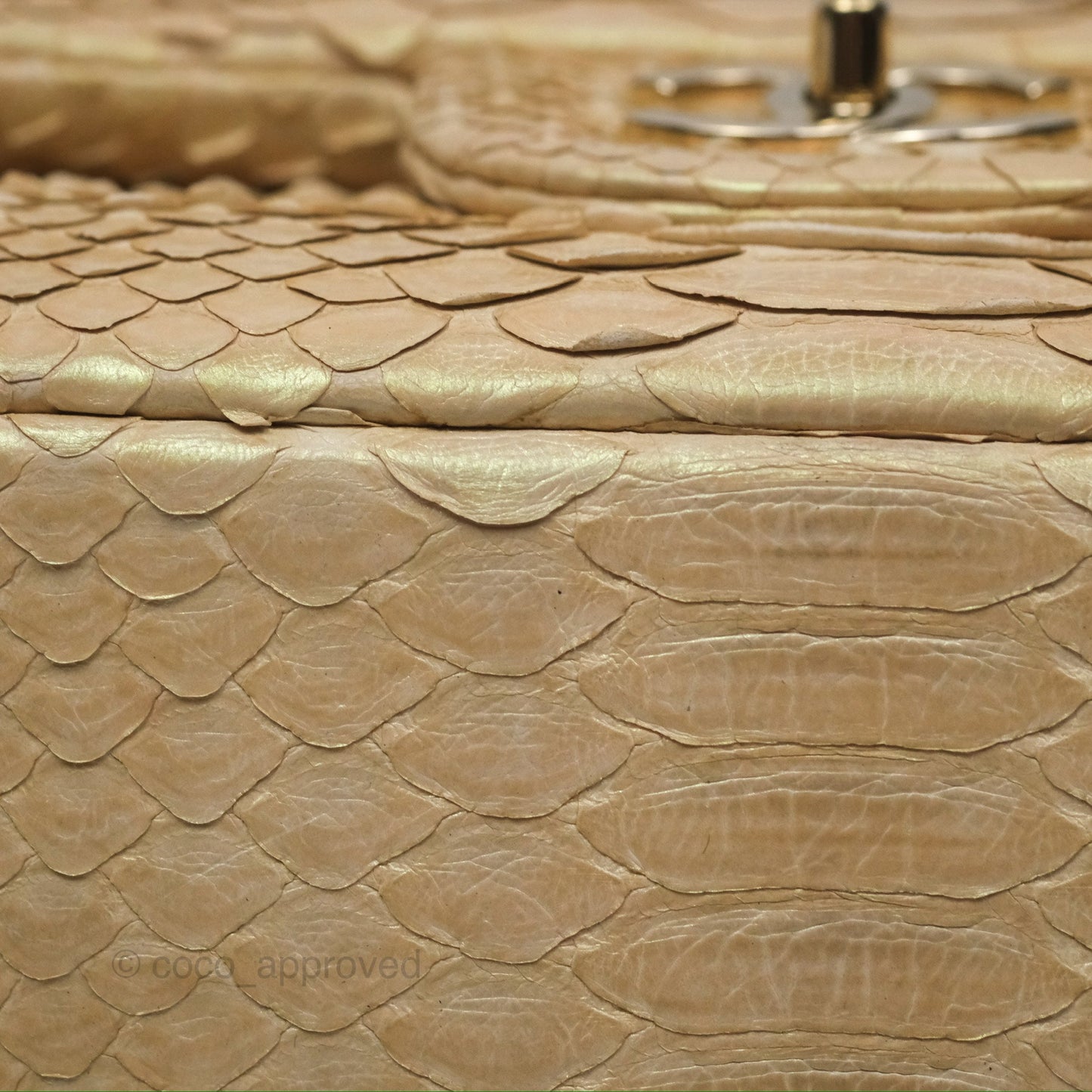 Chanel Jumbo Double Flap Iridescent Gold Python Gold Hardware⁣⁣