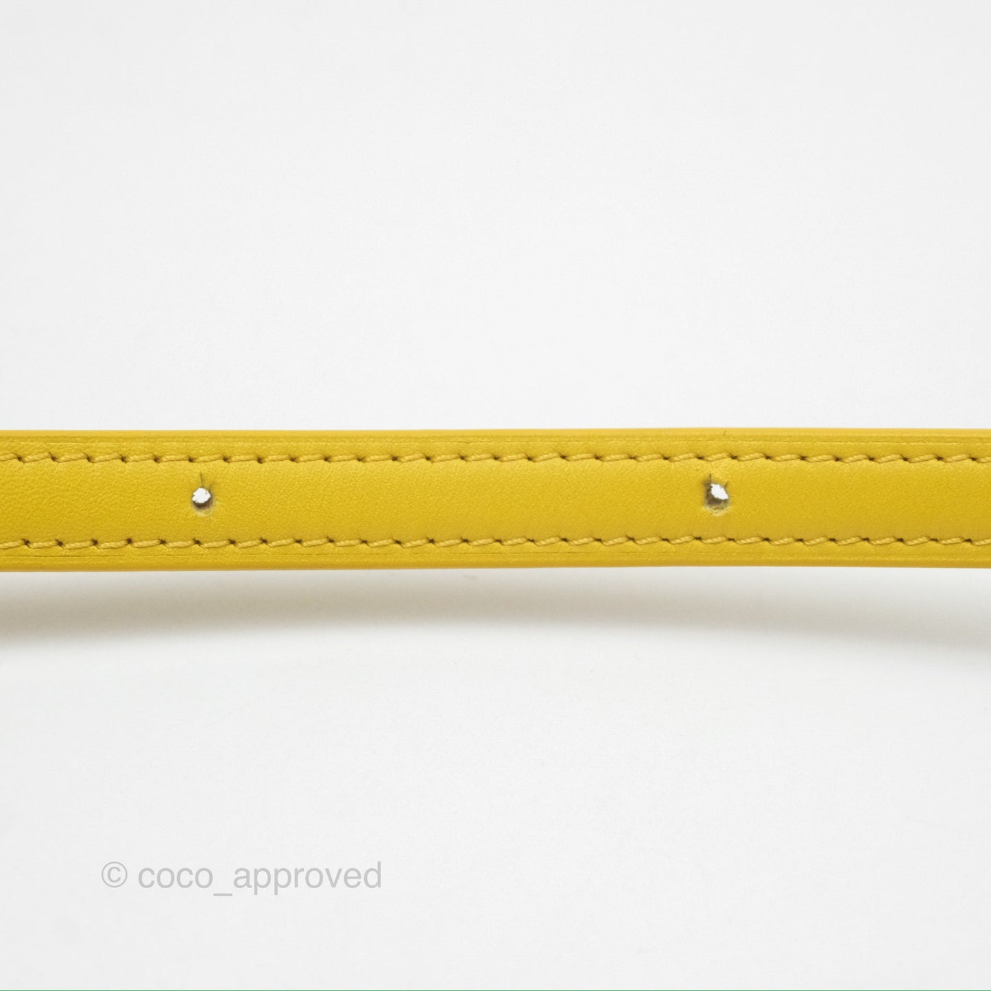 Loewe Small Goya Bag Yellow Silk Calfskin