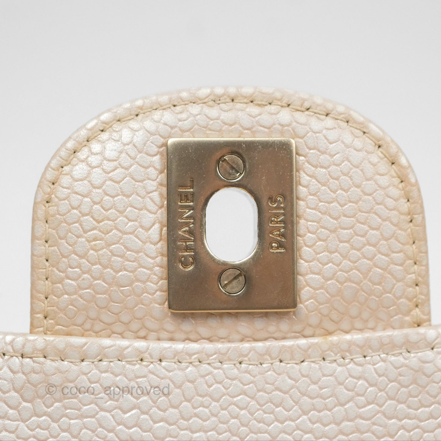 Chanel Classic M/L Medium Double Flap Iridescent Pearly Caviar Aged Gold Hardware⁣⁣
