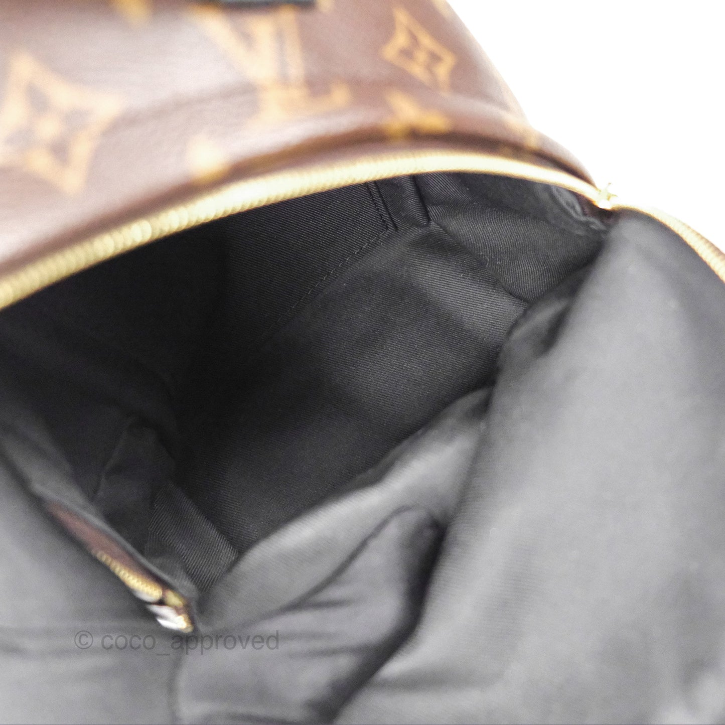 Louis Vuitton Monogram Mini Palm Springs Backpack⁣