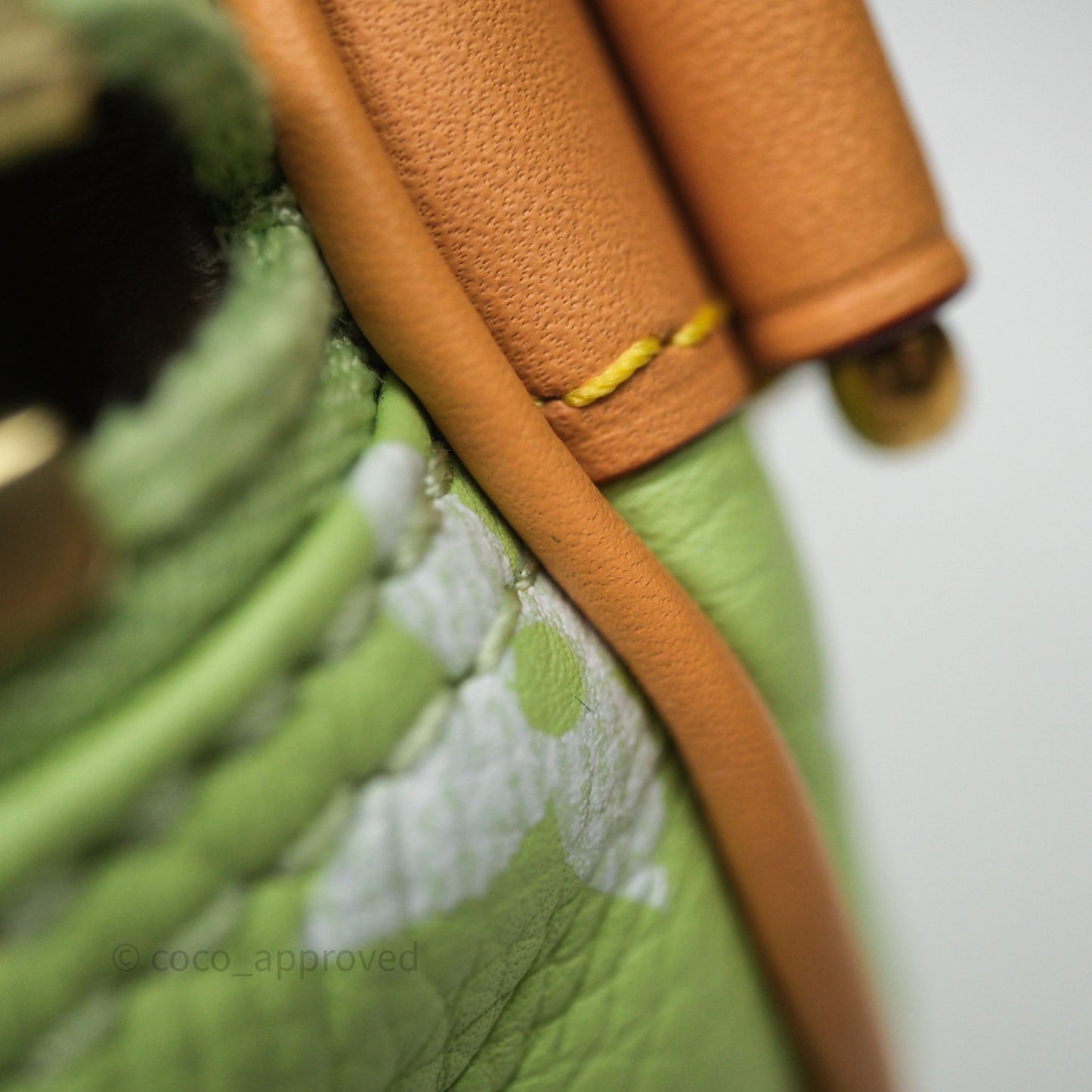 Louis Vuitton Speedy P9 Bandouliere 30 Vert Clair Bag