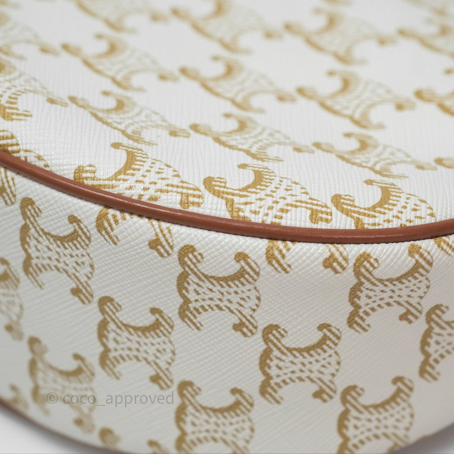 Celine Ava Bag In Triomphe Canvas Calfskin White