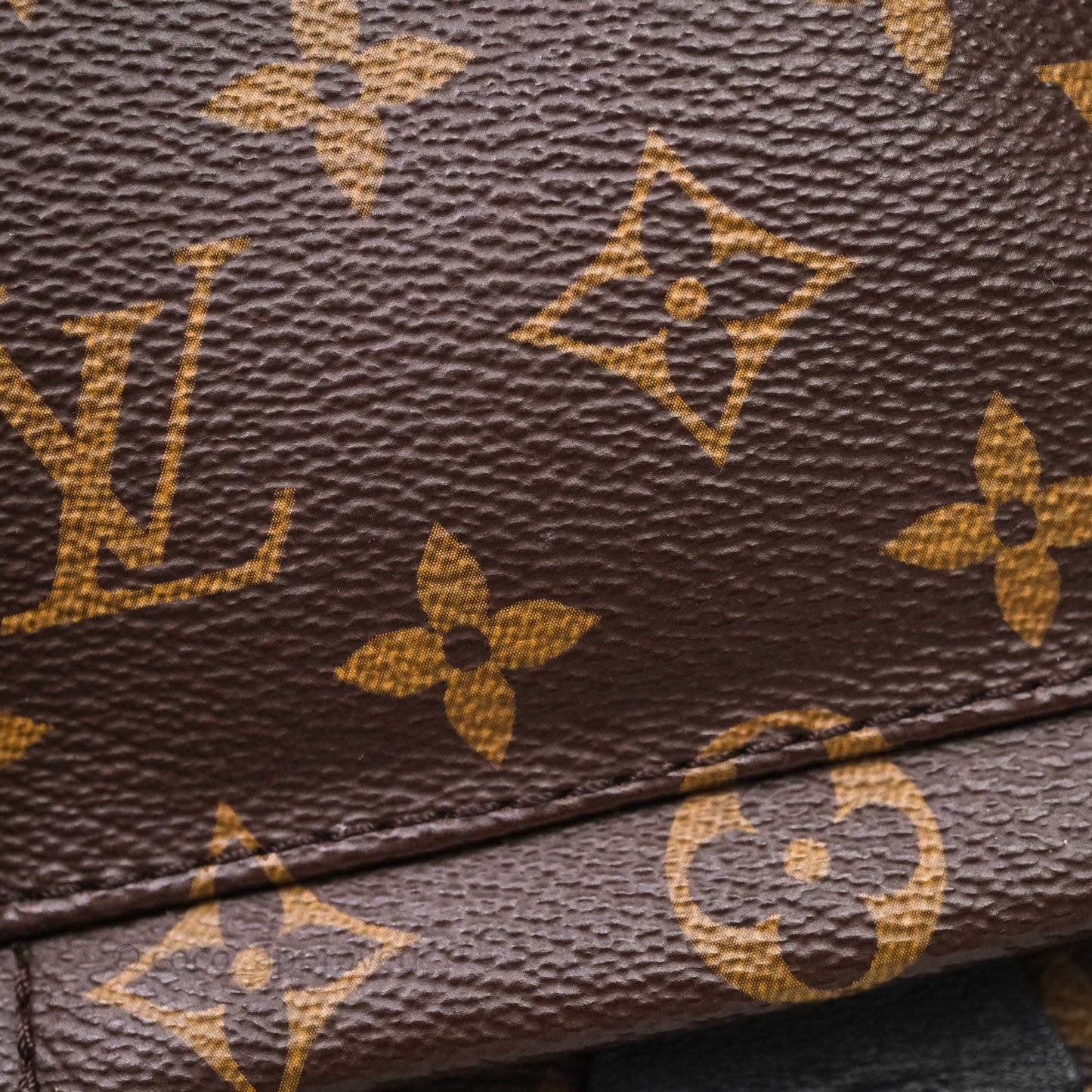 Louis Vuitton Mini Palm Springs Backpack⁣ Monogram