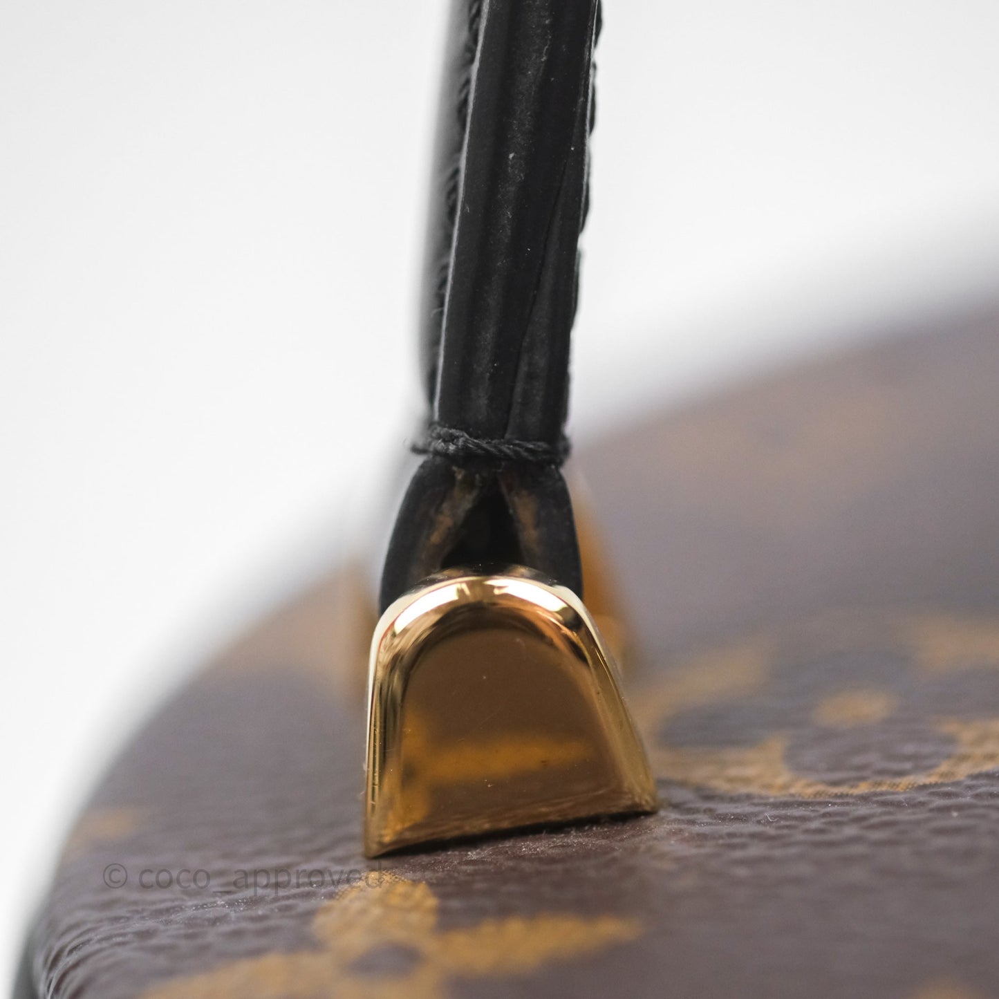 Louis Vuitton Monogram Canvas Reverse Cannes Bag