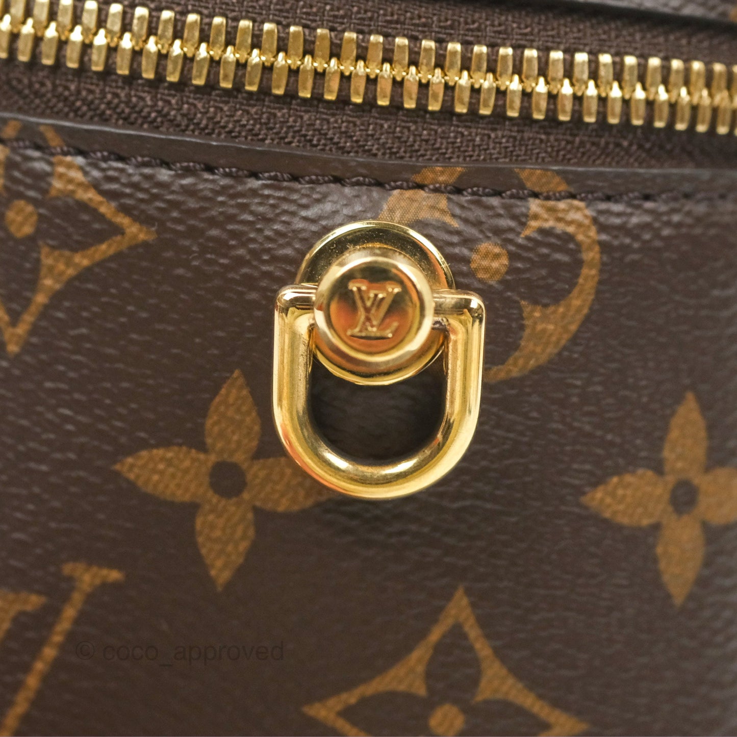 Louis Vuitton Reverse Monogram Vanity PM