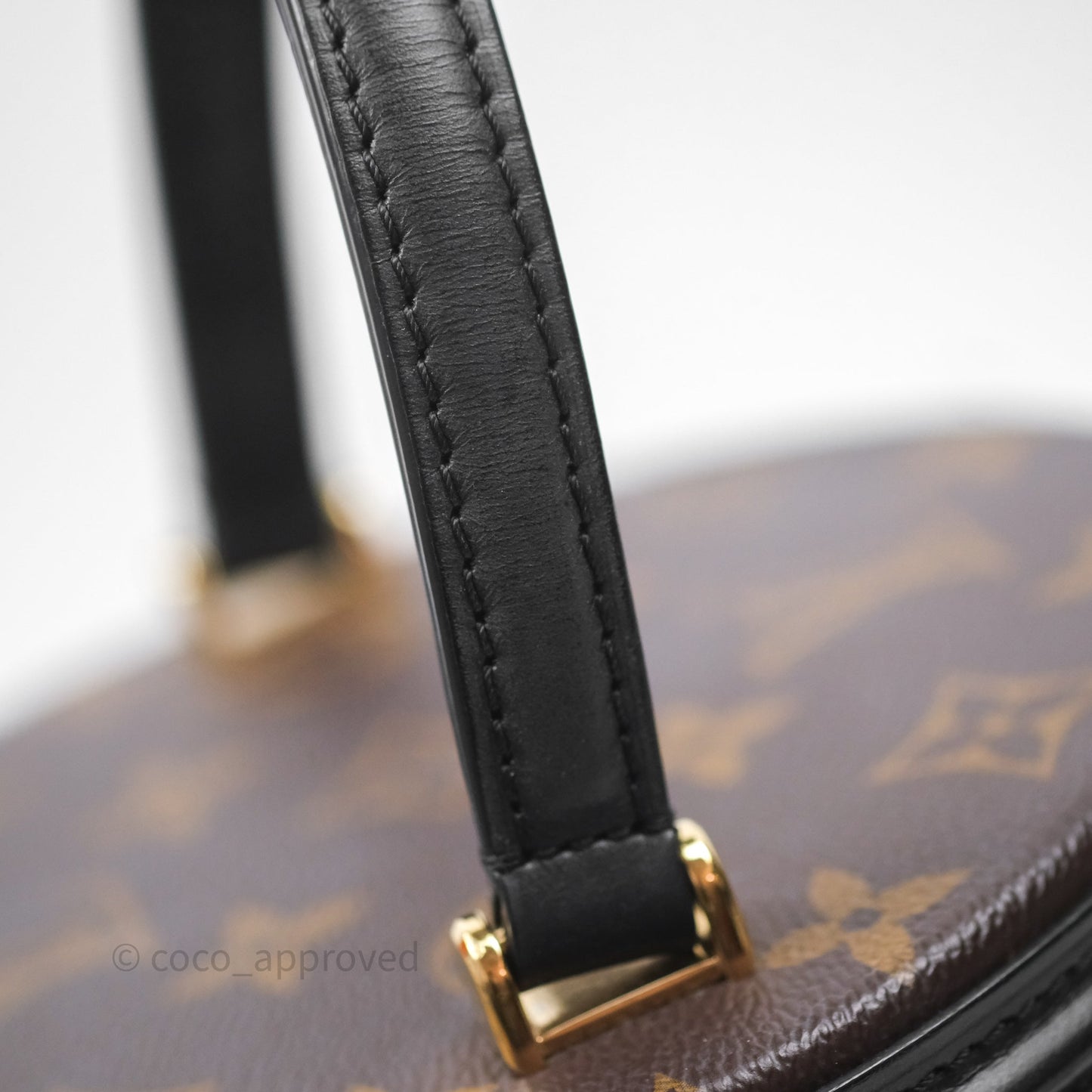 Louis Vuitton Monogram Canvas Reverse Cannes Bag
