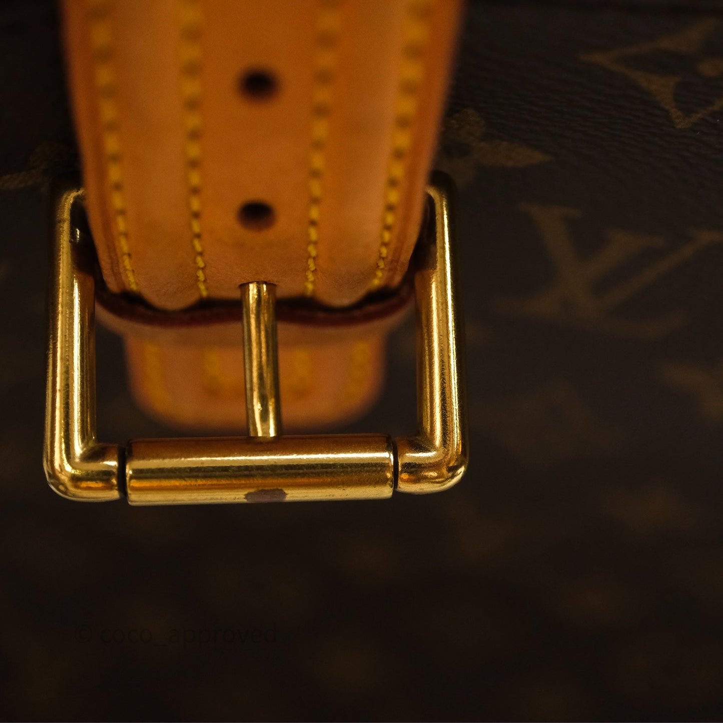 Louis Vuitton Multipli-Cite Tote Monogram Canvas