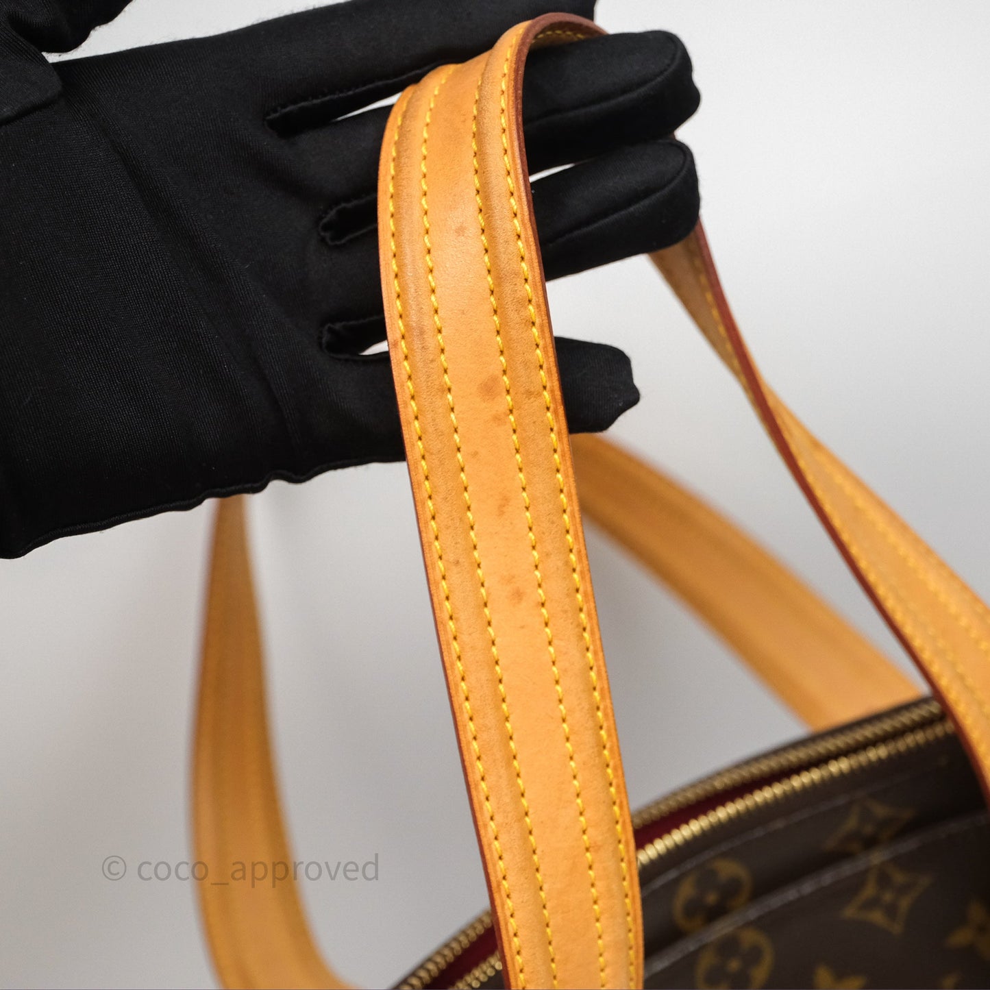 Louis Vuitton Multipli-Cite Tote Monogram Canvas