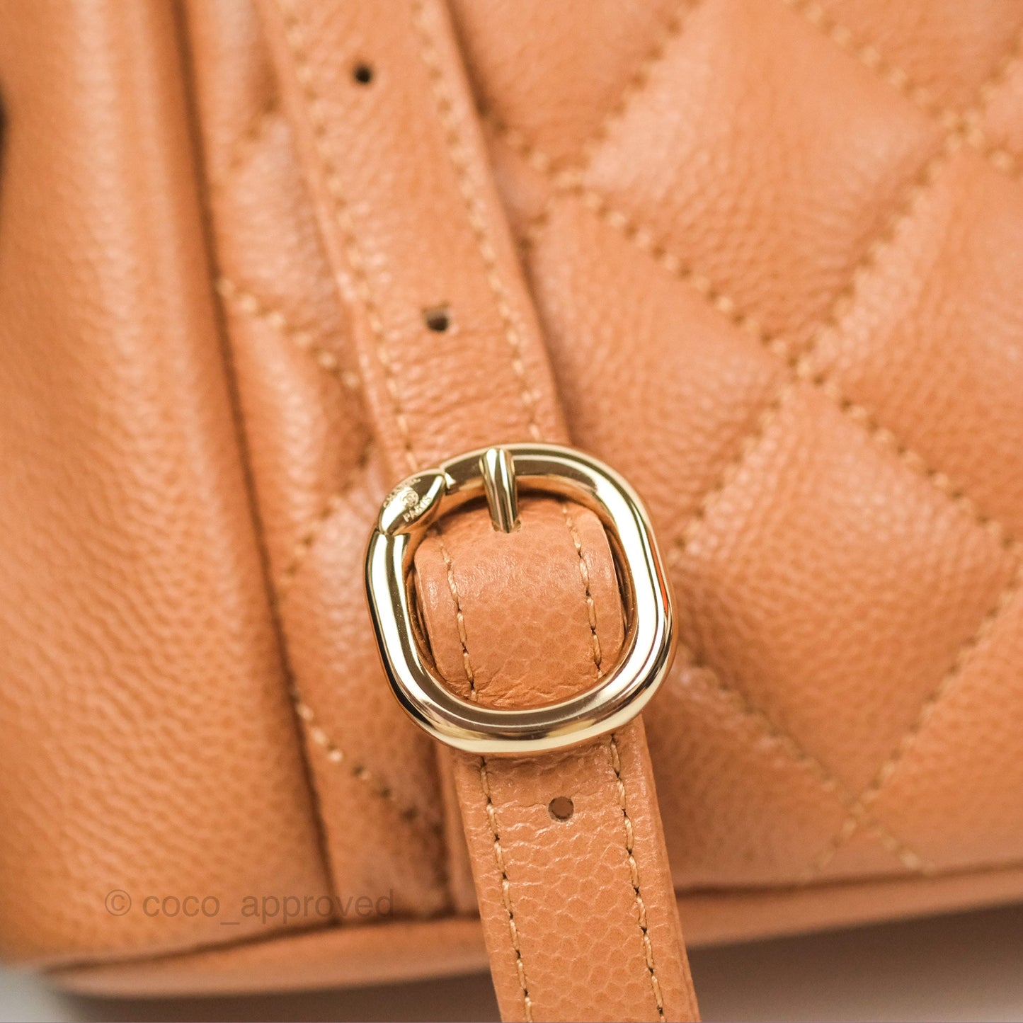 Chanel Duma Backpack Medium Dark Caramel Beige Caviar Gold Hardware