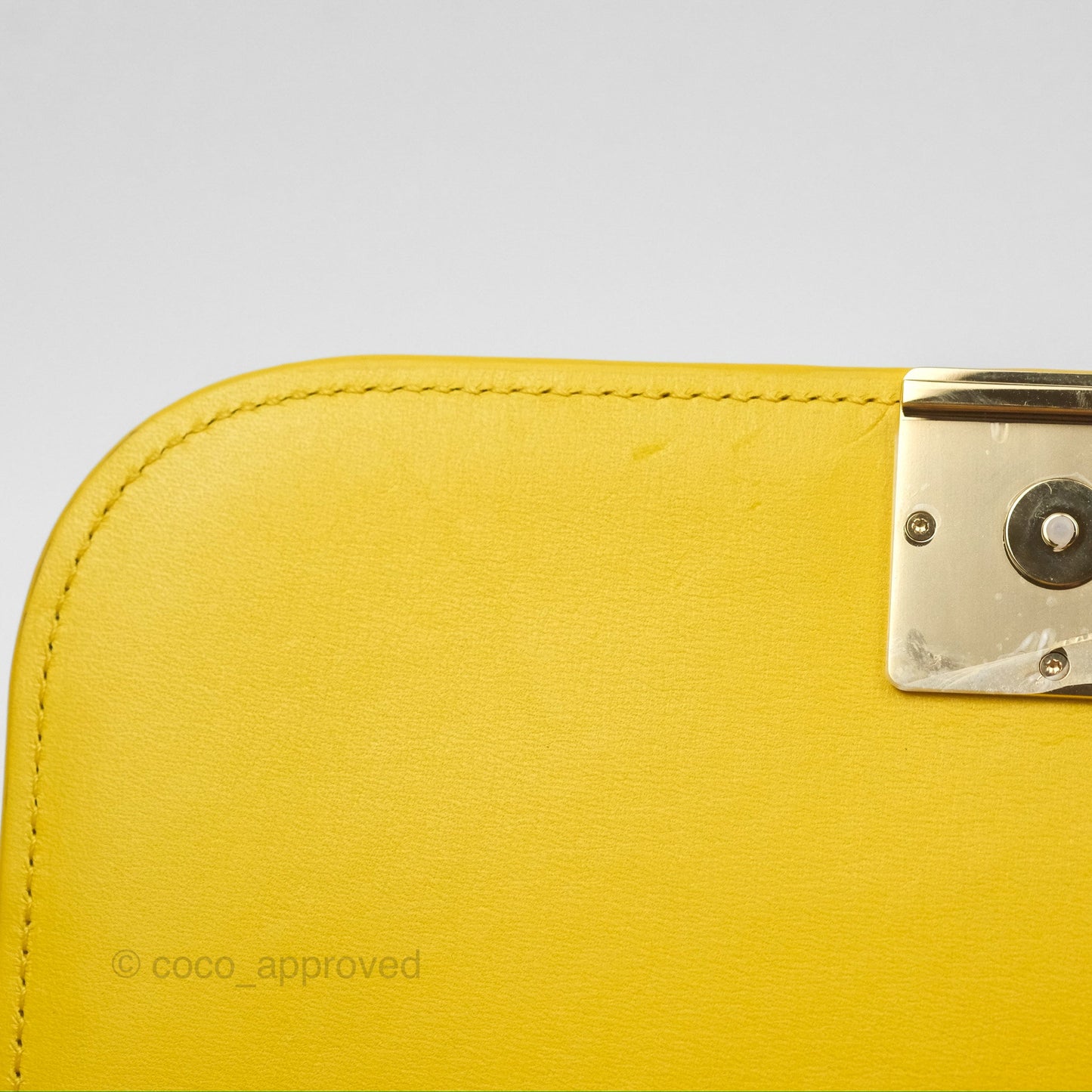 Loewe Small Goya Bag Yellow Silk Calfskin