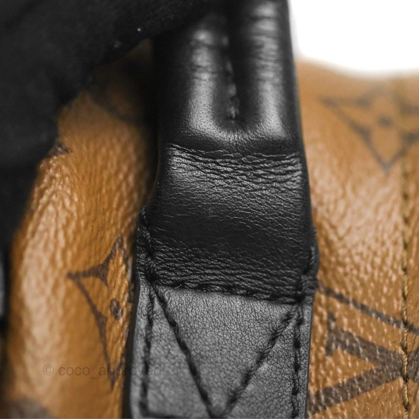Louis Vuitton Reverse Mini Palm Springs Backpack⁣