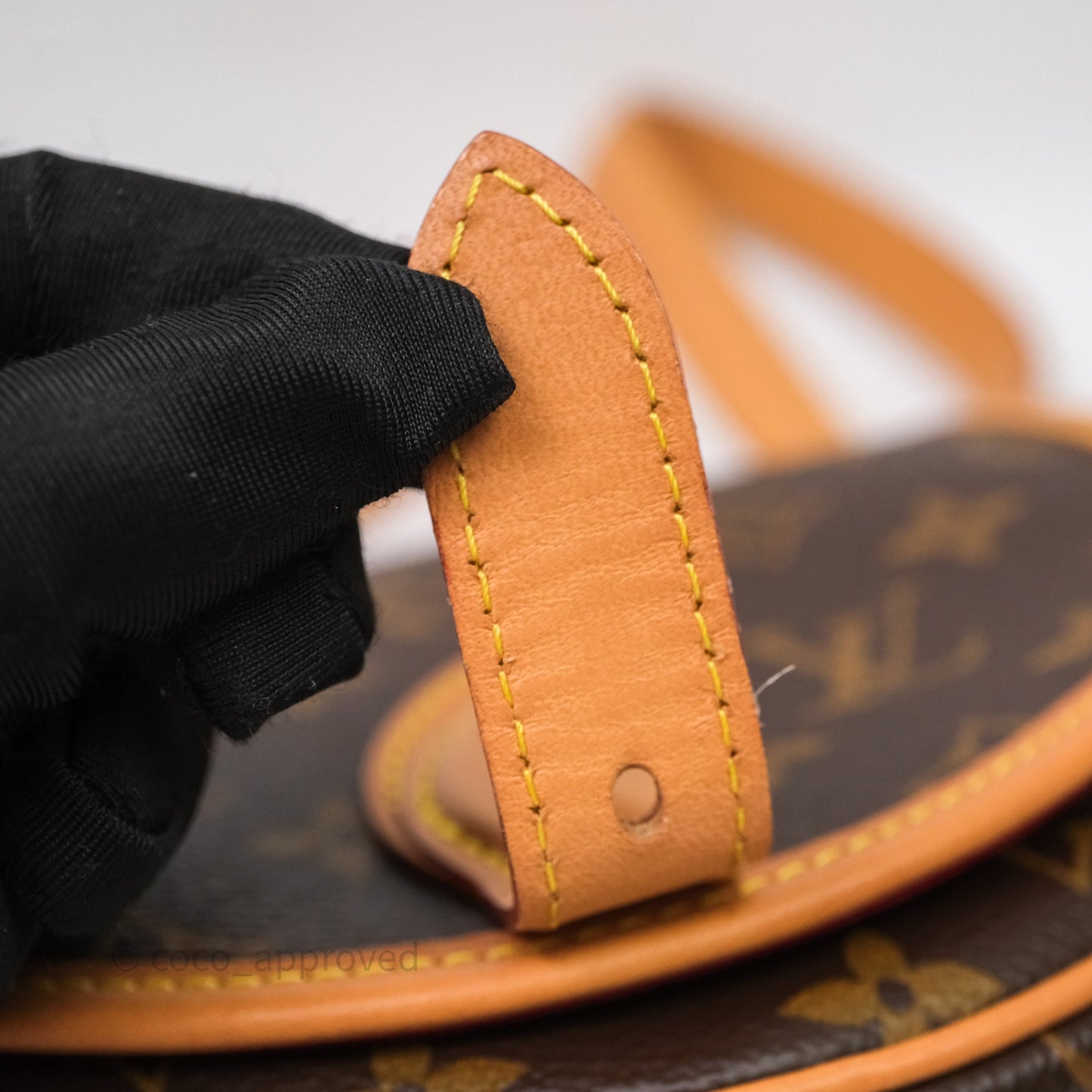 Louis Vuitton Tambourin Monogram Canvas Bag