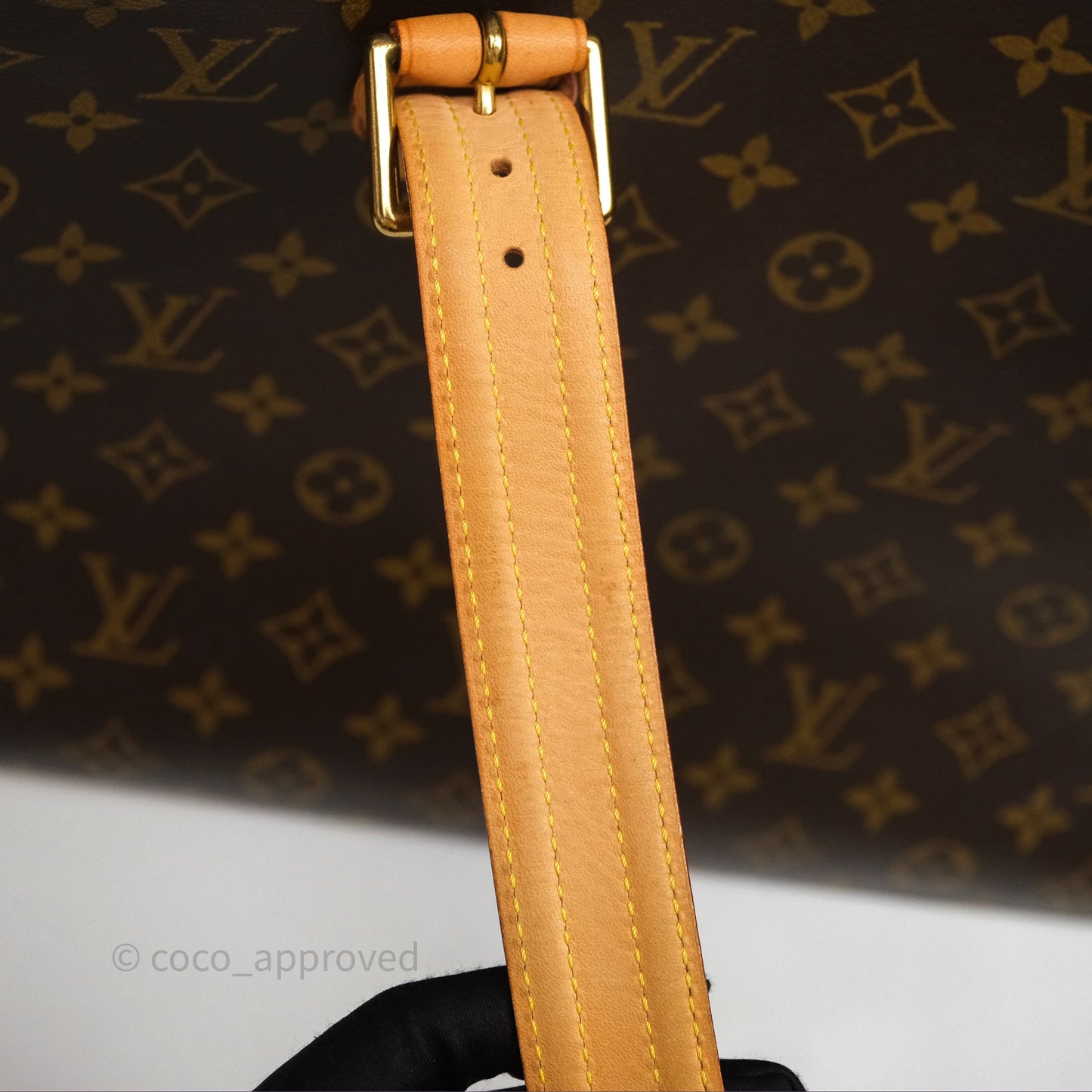 Louis Vuitton Multipli-Cite Tote Monogram Canvas