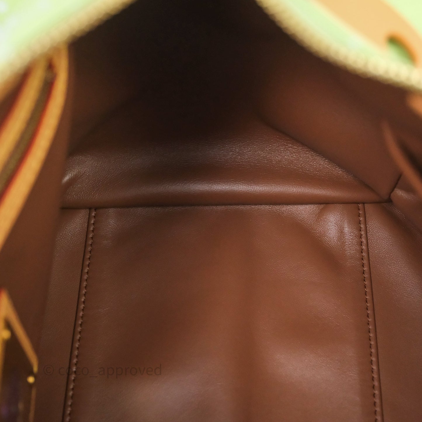 Louis Vuitton Speedy P9 Bandouliere 30 Vert Clair Bag