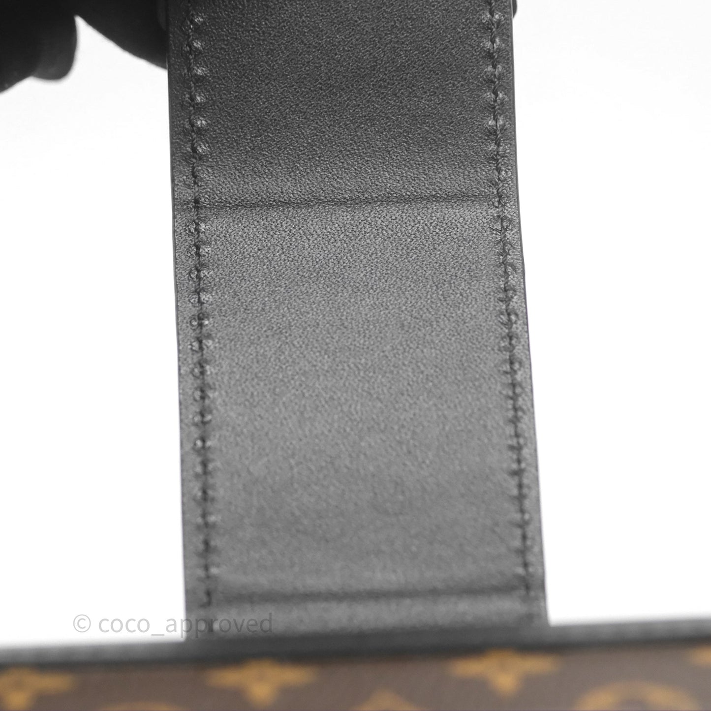 Louis Vuitton Monogram Petite Malle