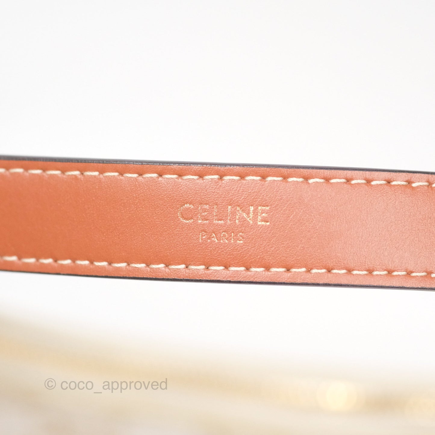 Celine Ava Bag In Triomphe Canvas Calfskin White