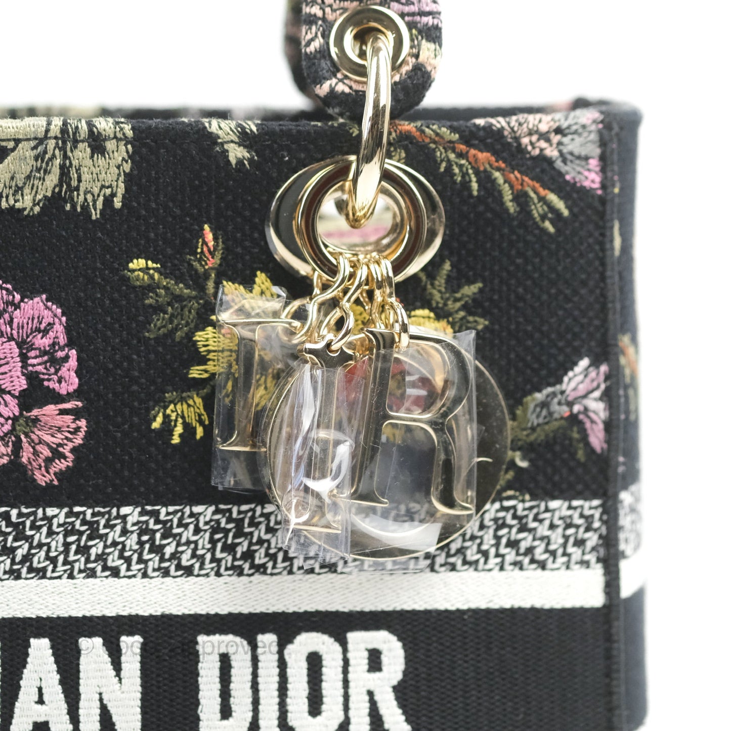 Christian Dior Medium Lady D-Lite Bag Black Dior Jardin Botanique Embroidery