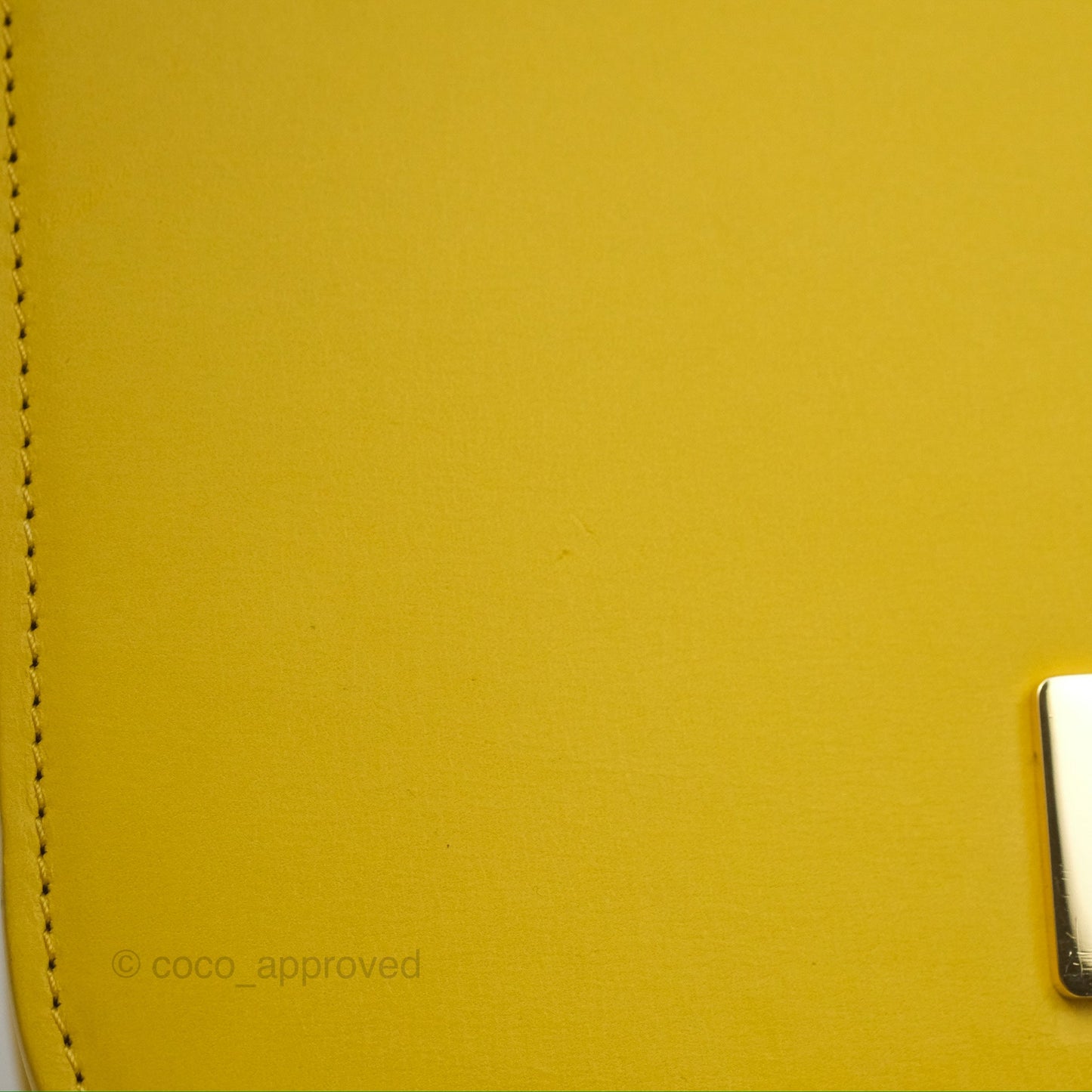 Loewe Small Goya Bag Yellow Silk Calfskin