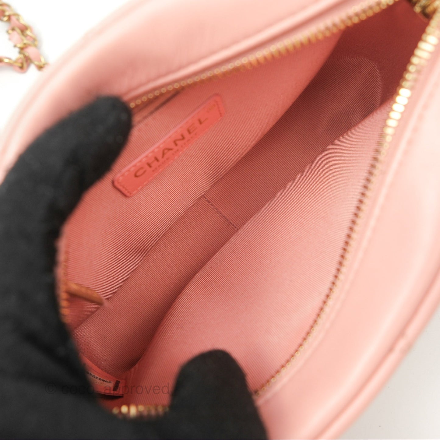 Chanel Logo Enchained Camera Bag Pink Calfskin Aged Gold Hardware