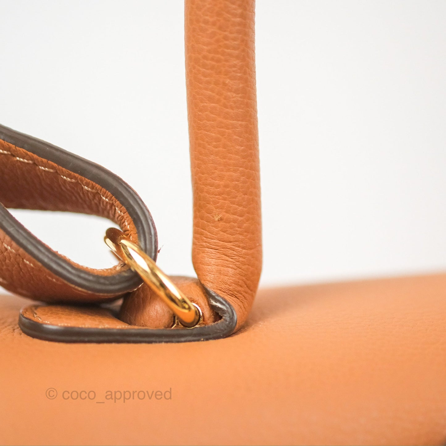 Delvaux Mini Brillant Bag Vegetal Rodeo Calf Gold Hardware