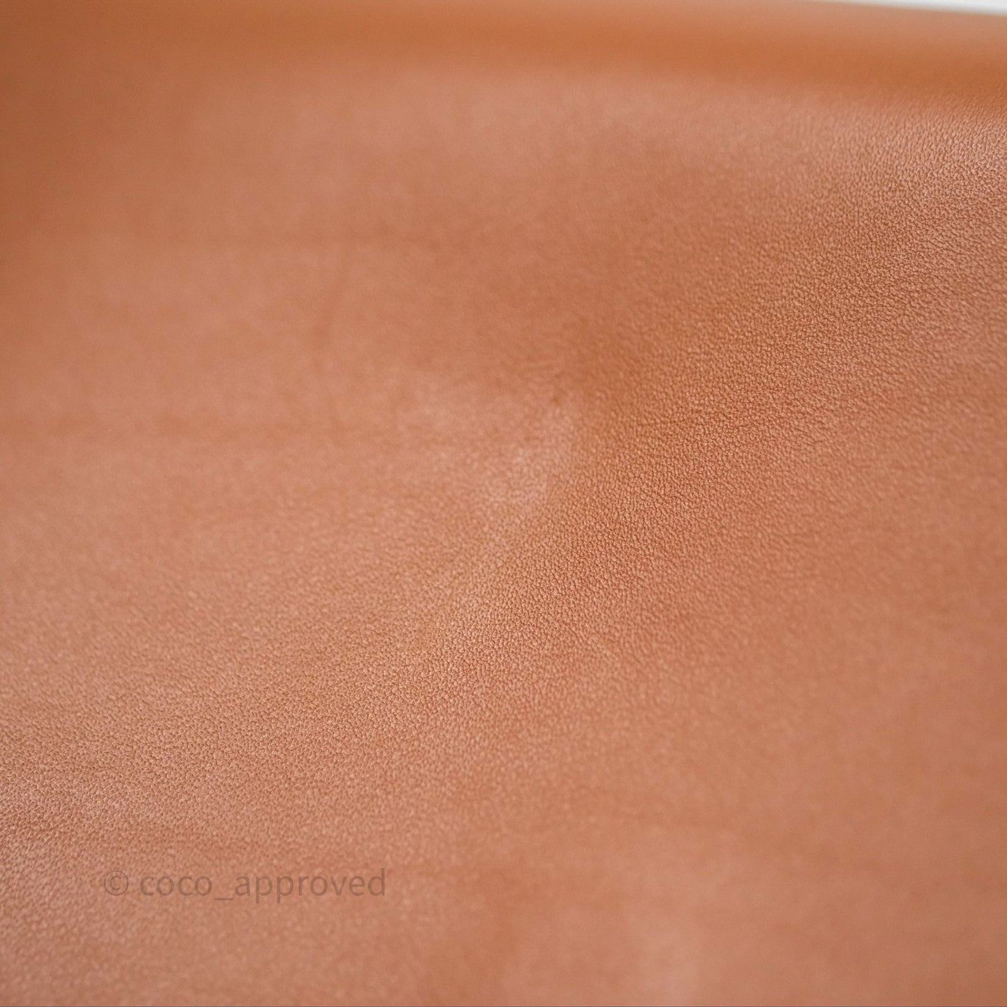 Loewe Mini Gate Belt Bag in Soft Calfskin Brown