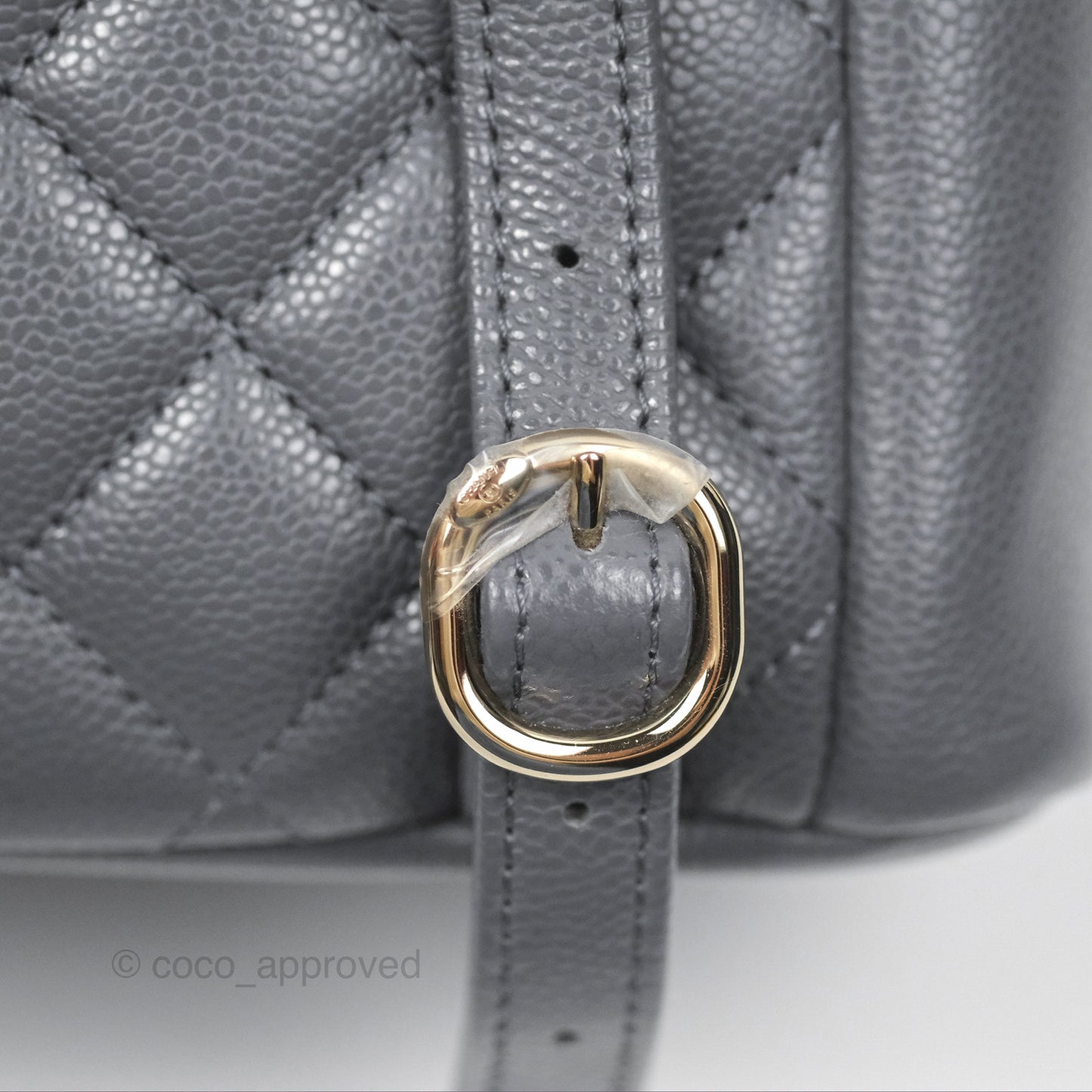 Chanel Duma Backpack Medium Grey Caviar Gold Hardware