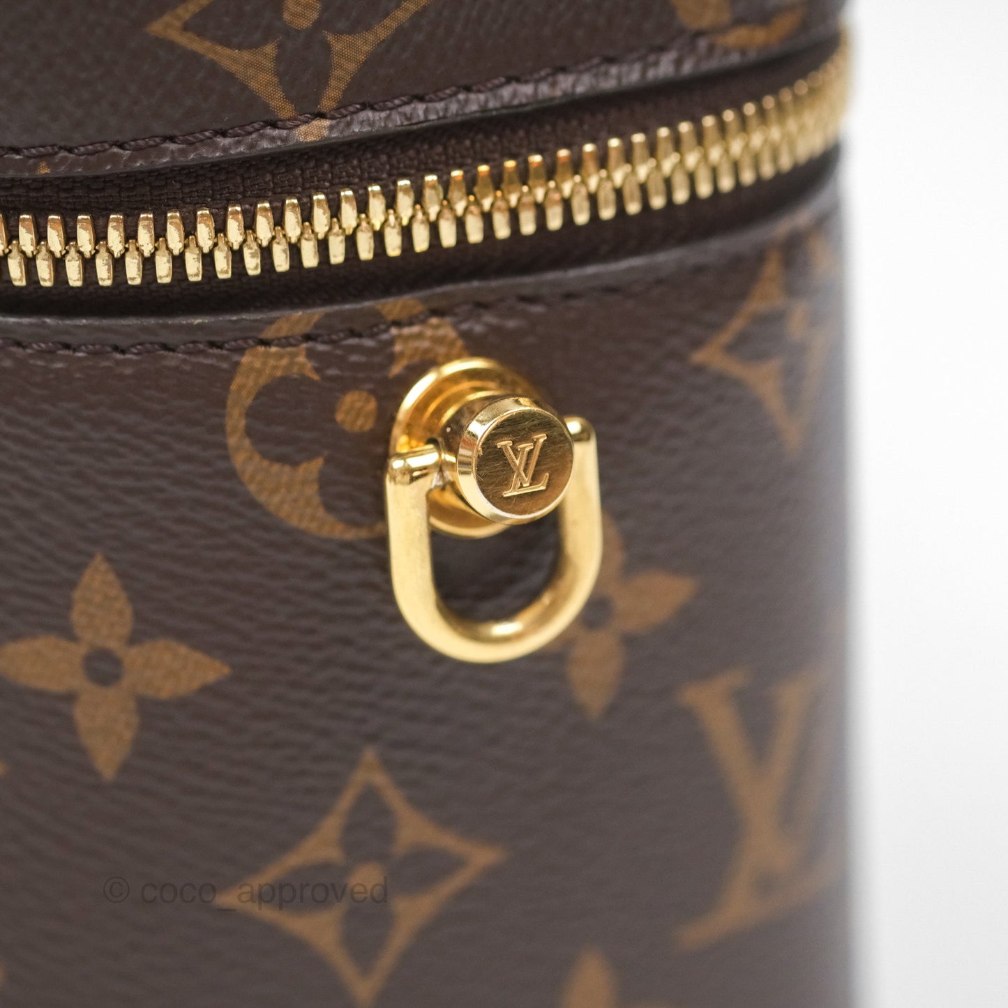 Louis Vuitton Reverse Monogram Vanity PM