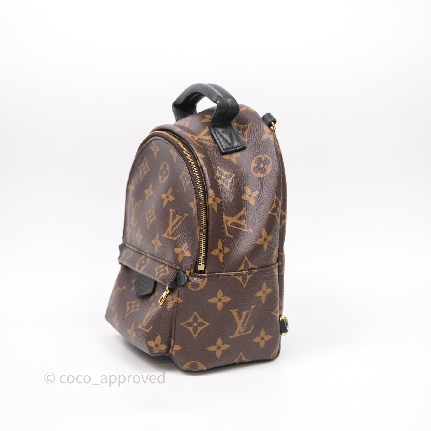 Louis Vuitton Mini Palm Springs Backpack⁣ Monogram