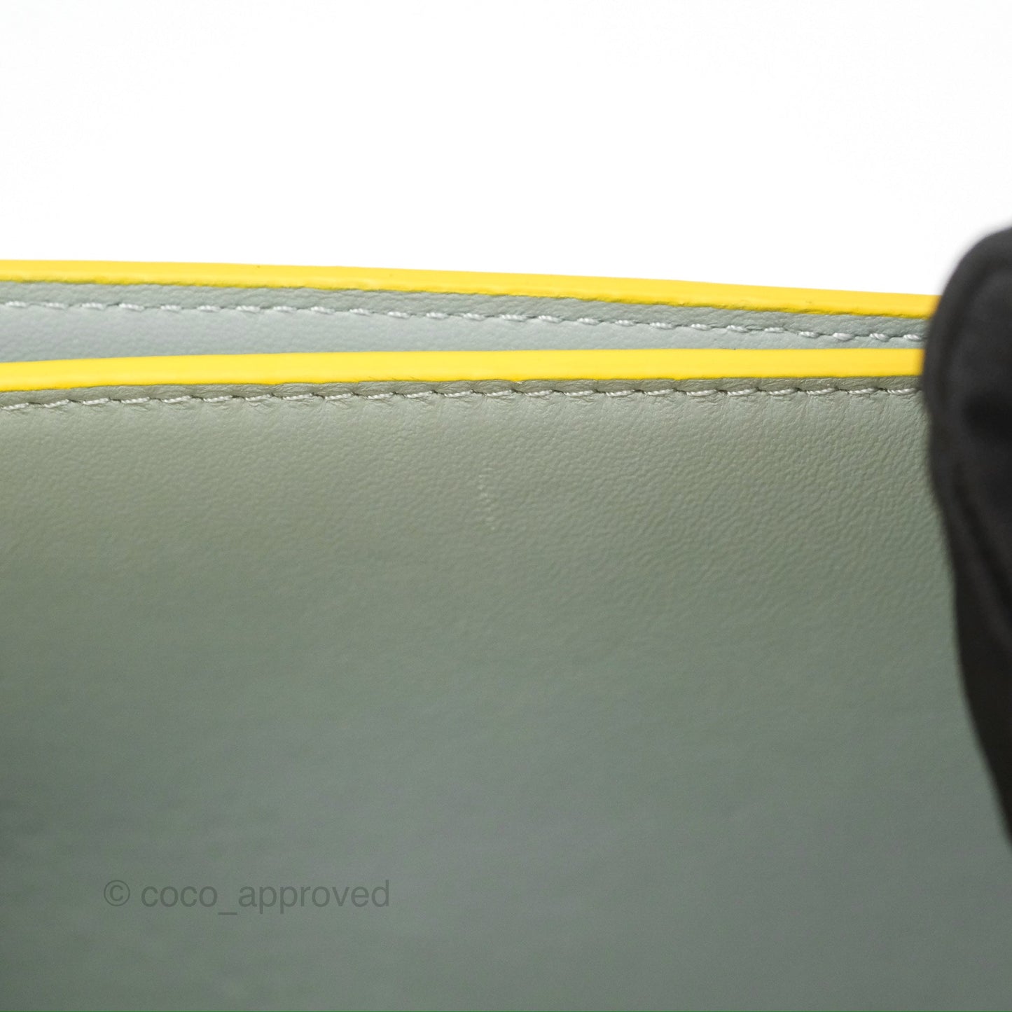 Loewe Small Goya Bag Yellow Silk Calfskin