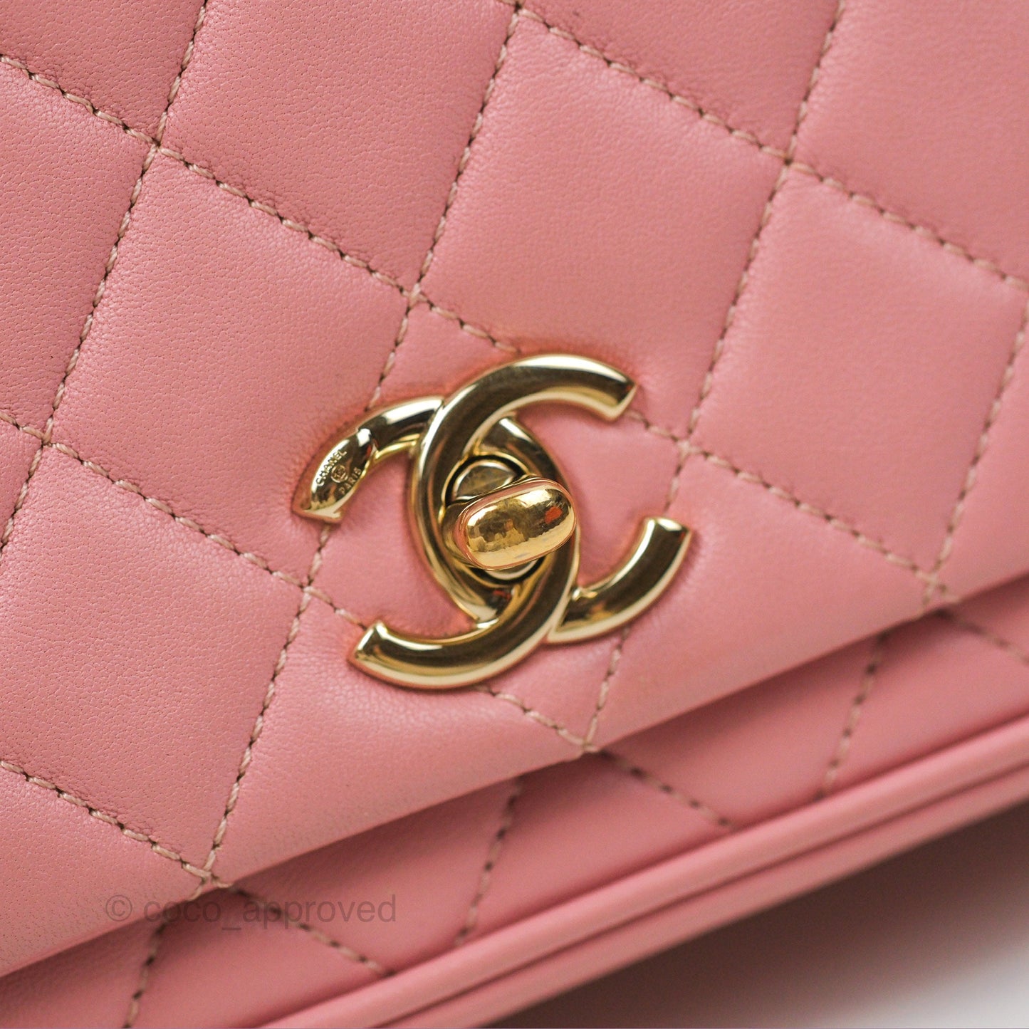 Chanel Citizen Chic Flap Bag Pink Lambskin Gold Hardware
