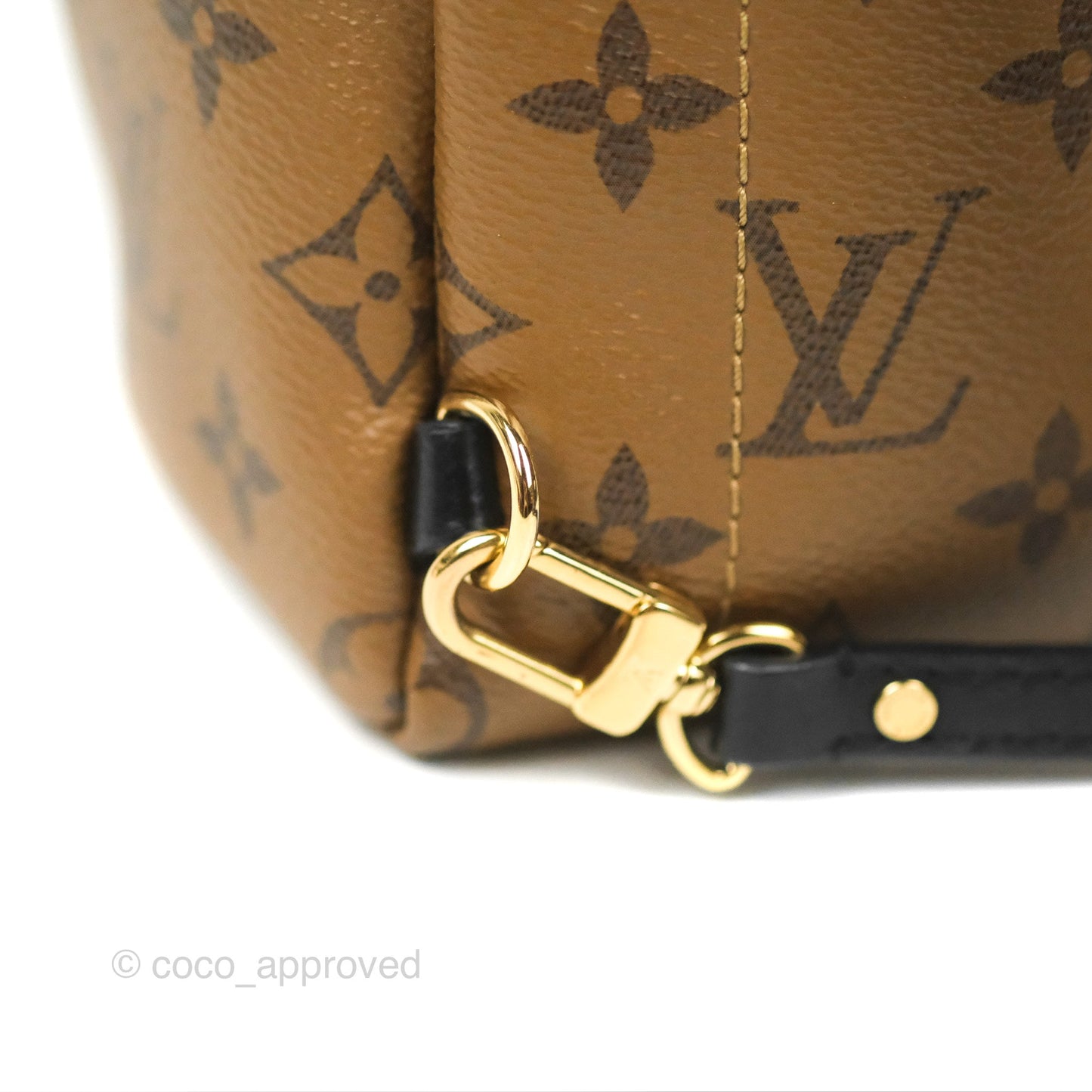 Louis Vuitton Reverse Mini Palm Springs Backpack⁣