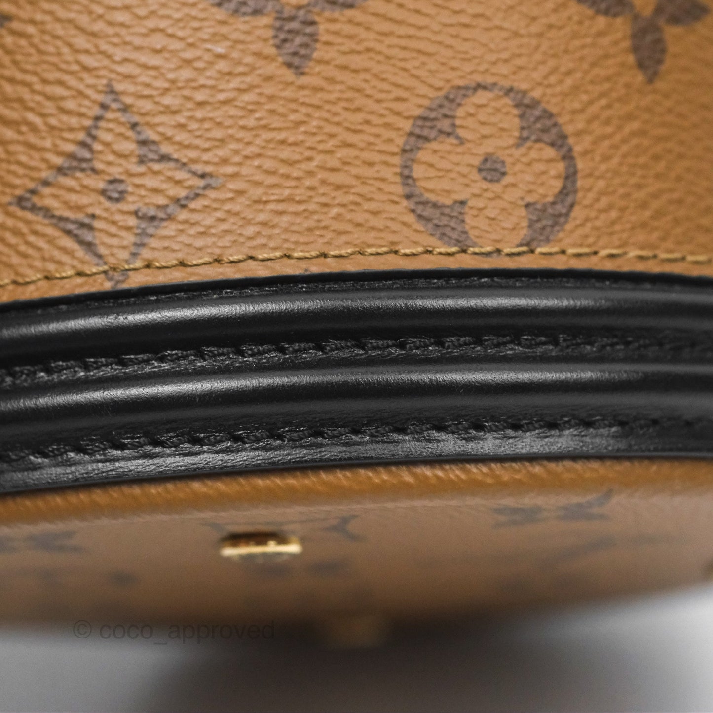 Louis Vuitton Monogram Canvas Reverse Cannes Bag