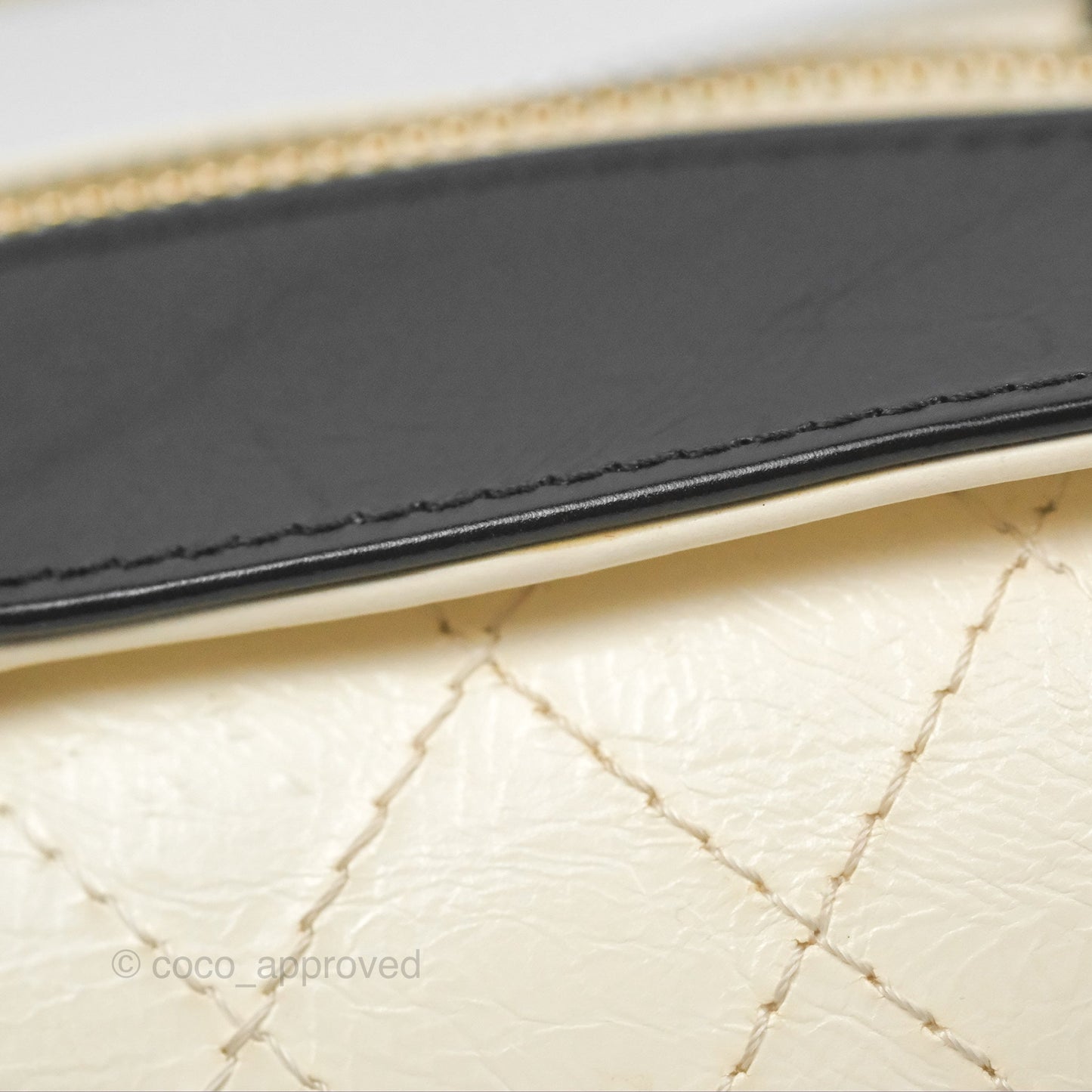 Chanel Camera Case Bag Black/White Calfskin Gold Hardware