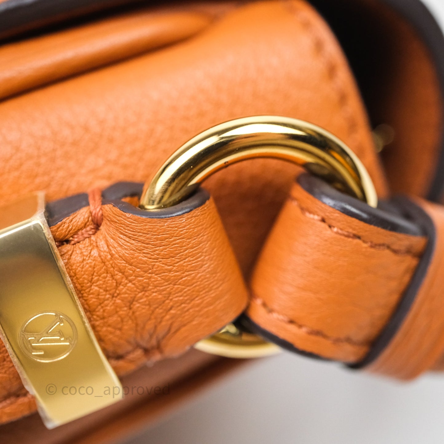 Louis Vuitton Pont 9 Soft PM Brown Grained Calfskin Gold Hardware