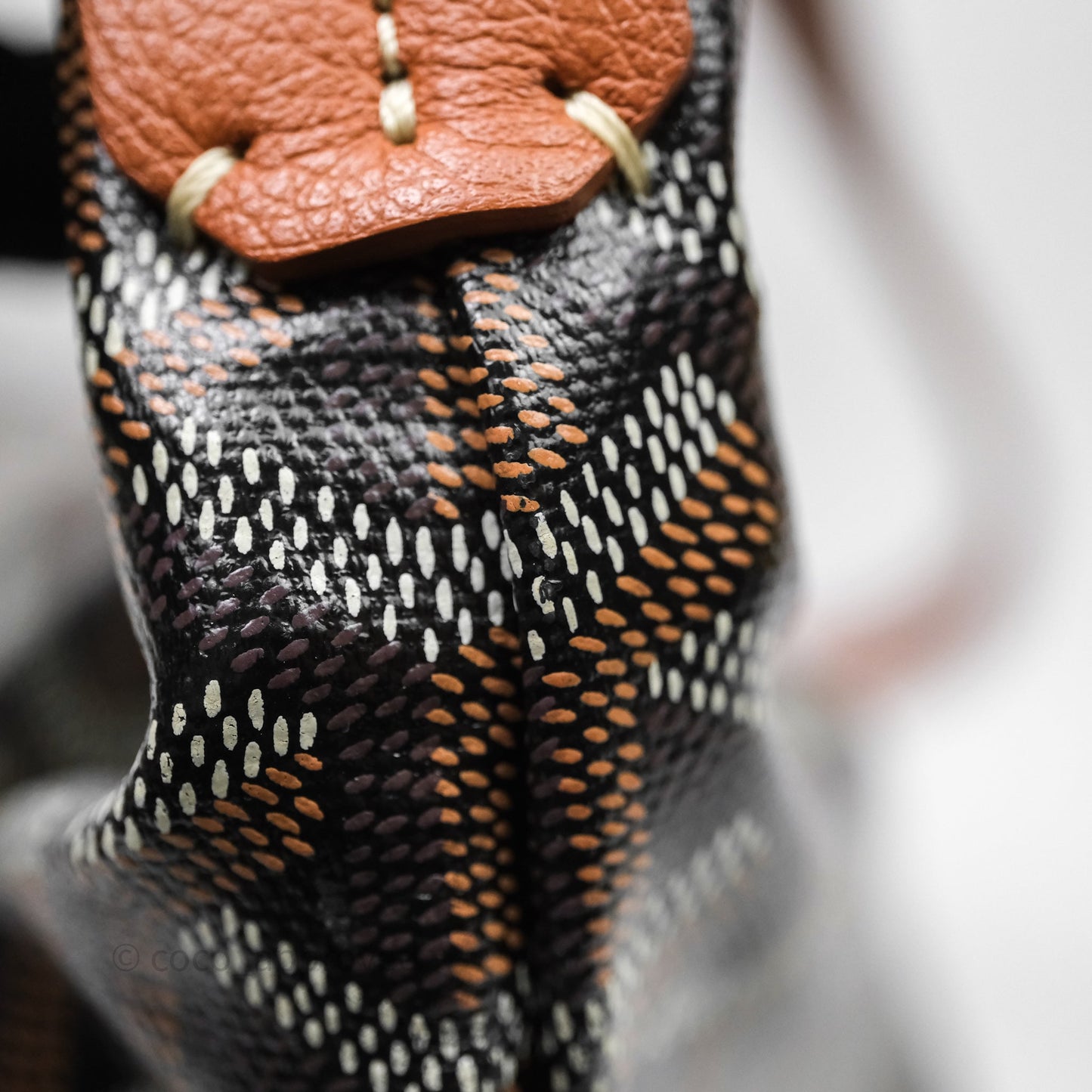 Goyard Bohème Hobo Bag Black & Tan