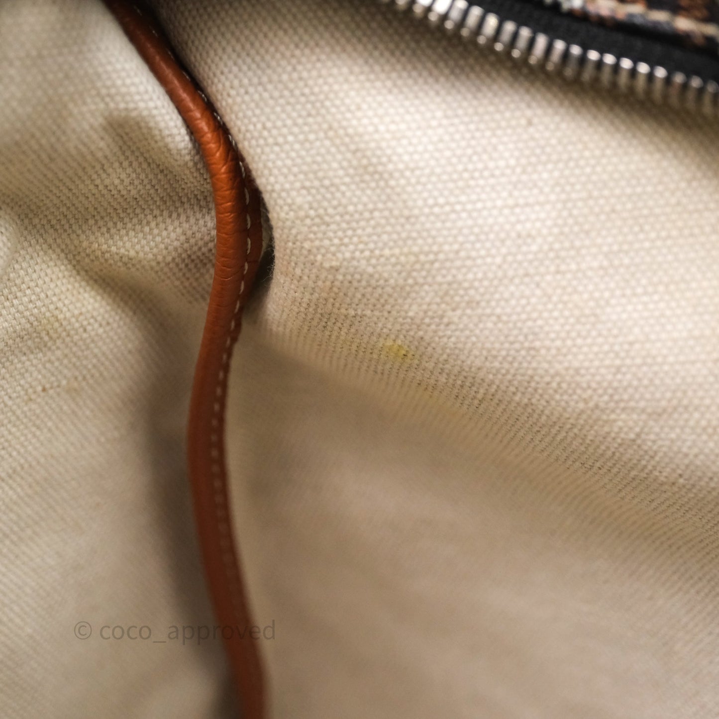 Goyard Bohème Hobo Bag Black & Tan