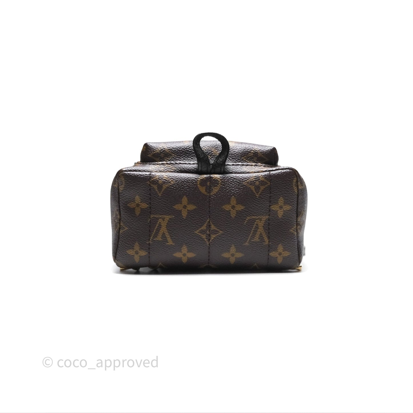 Louis Vuitton Monogram Mini Palm Springs Backpack⁣