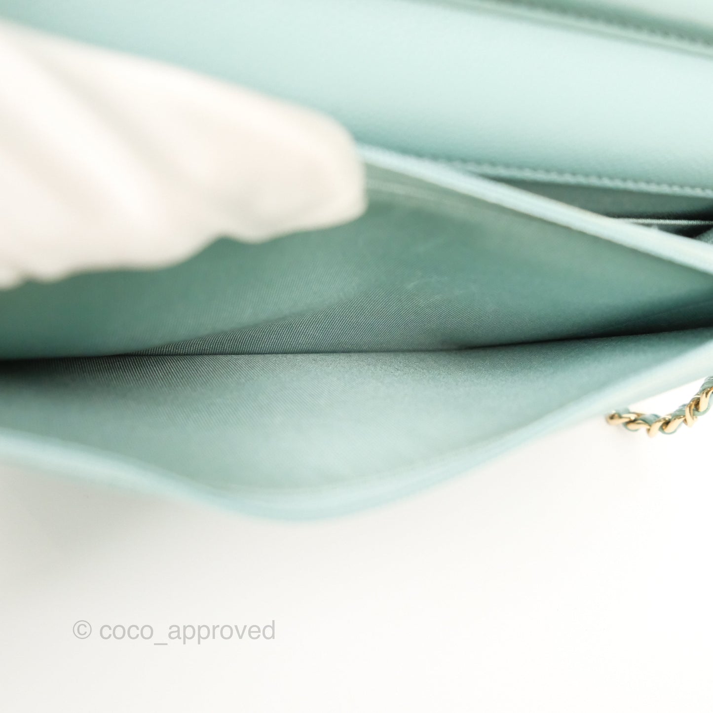 Chanel Quilted Classic Wallet On Chain WOC Tiffany Blue Caviar Gold Hardware