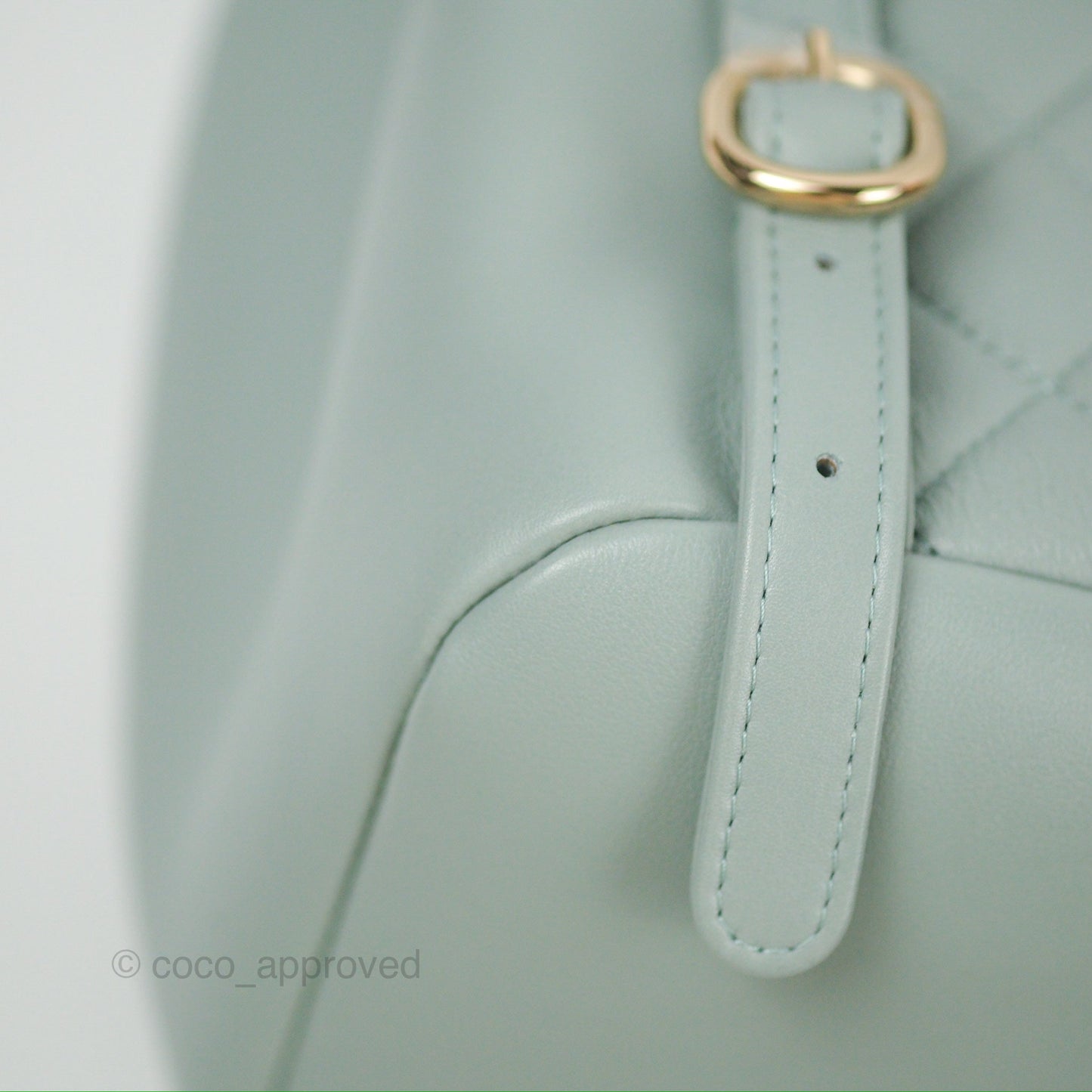 Chanel Quilted Large Duma Drawstring Backpack Tiffany Green Lambskin 23C